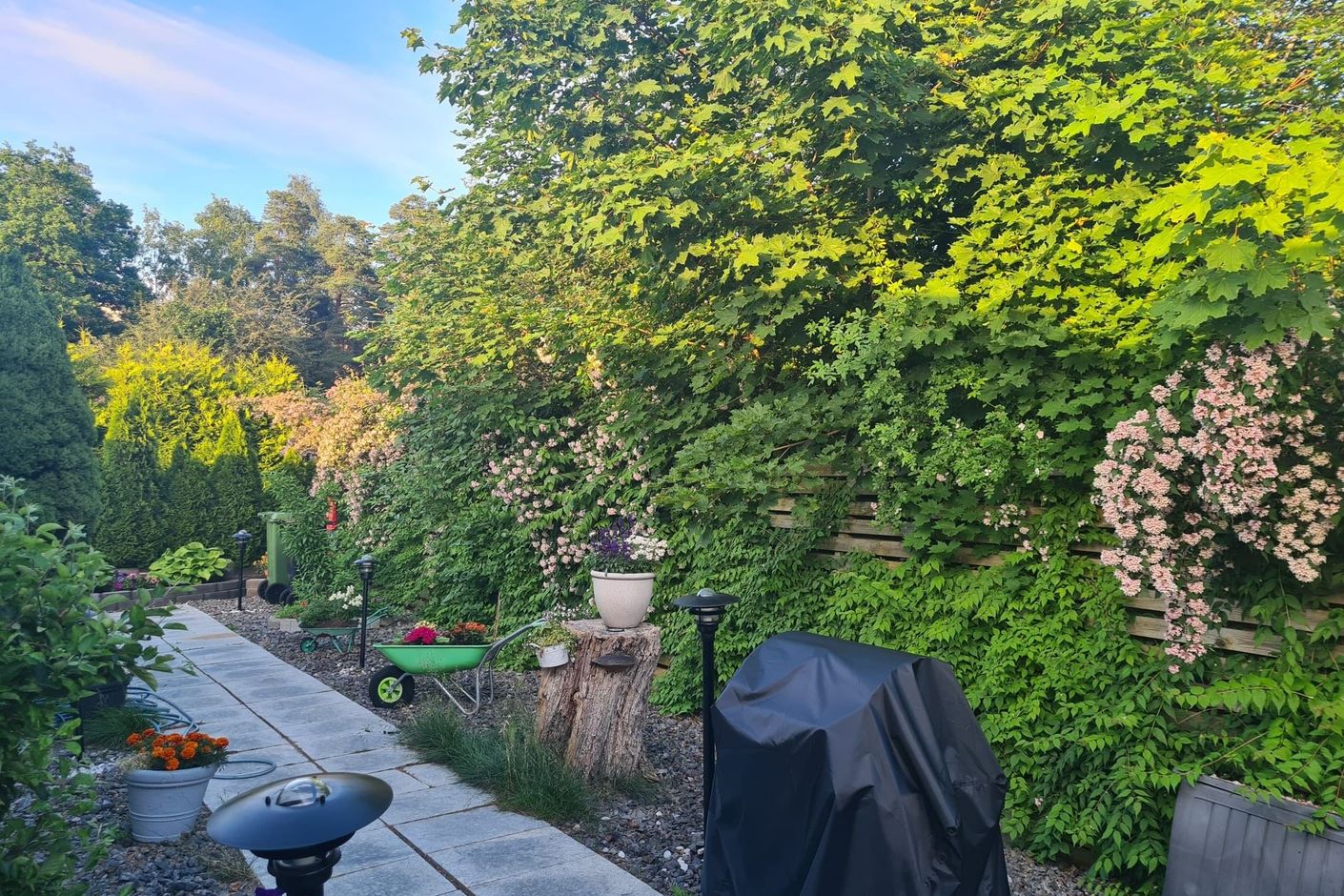 Lummig trädgård