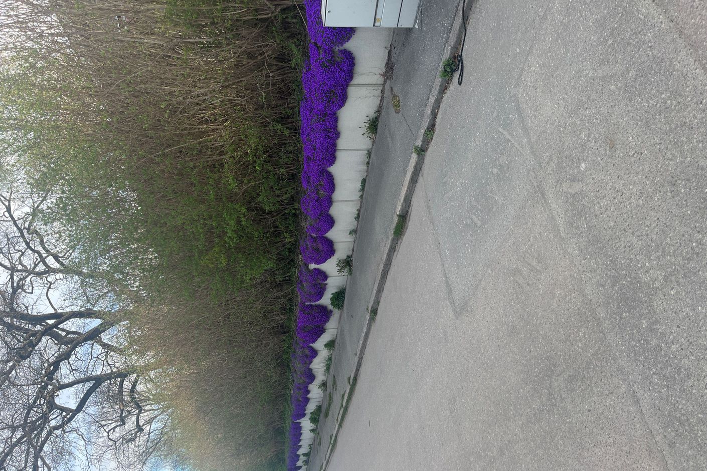 Säljarens egna bild