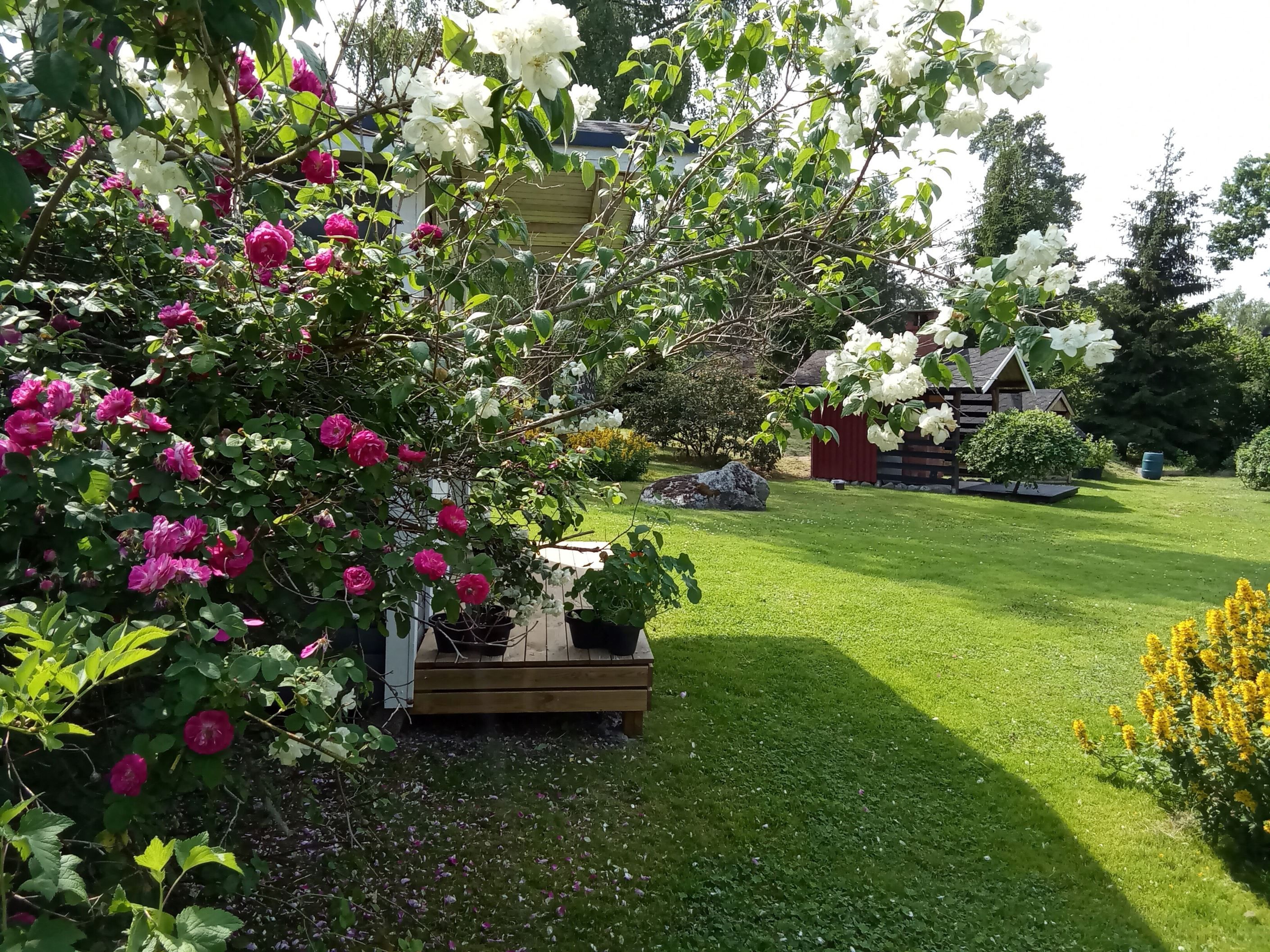 Sommarbild 1