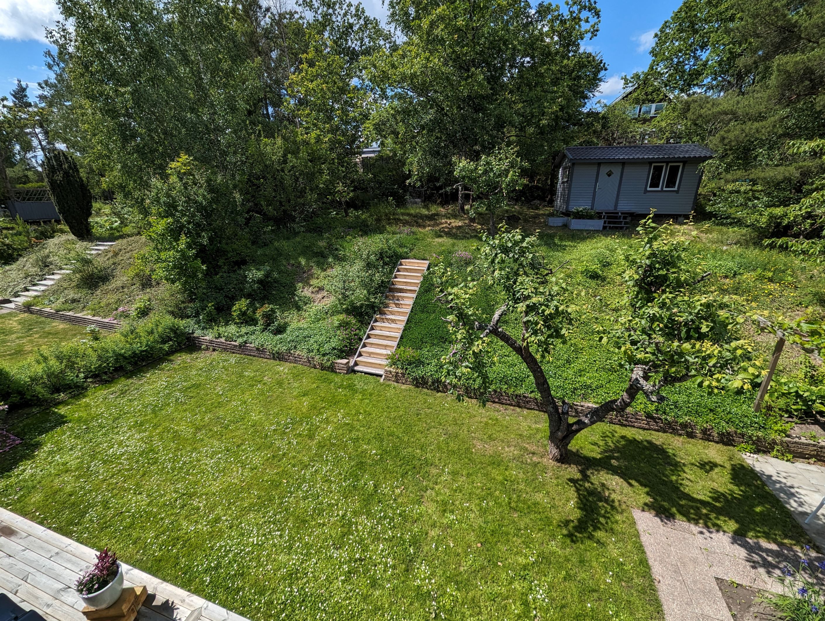 Översikt av trädgården på baksidan
