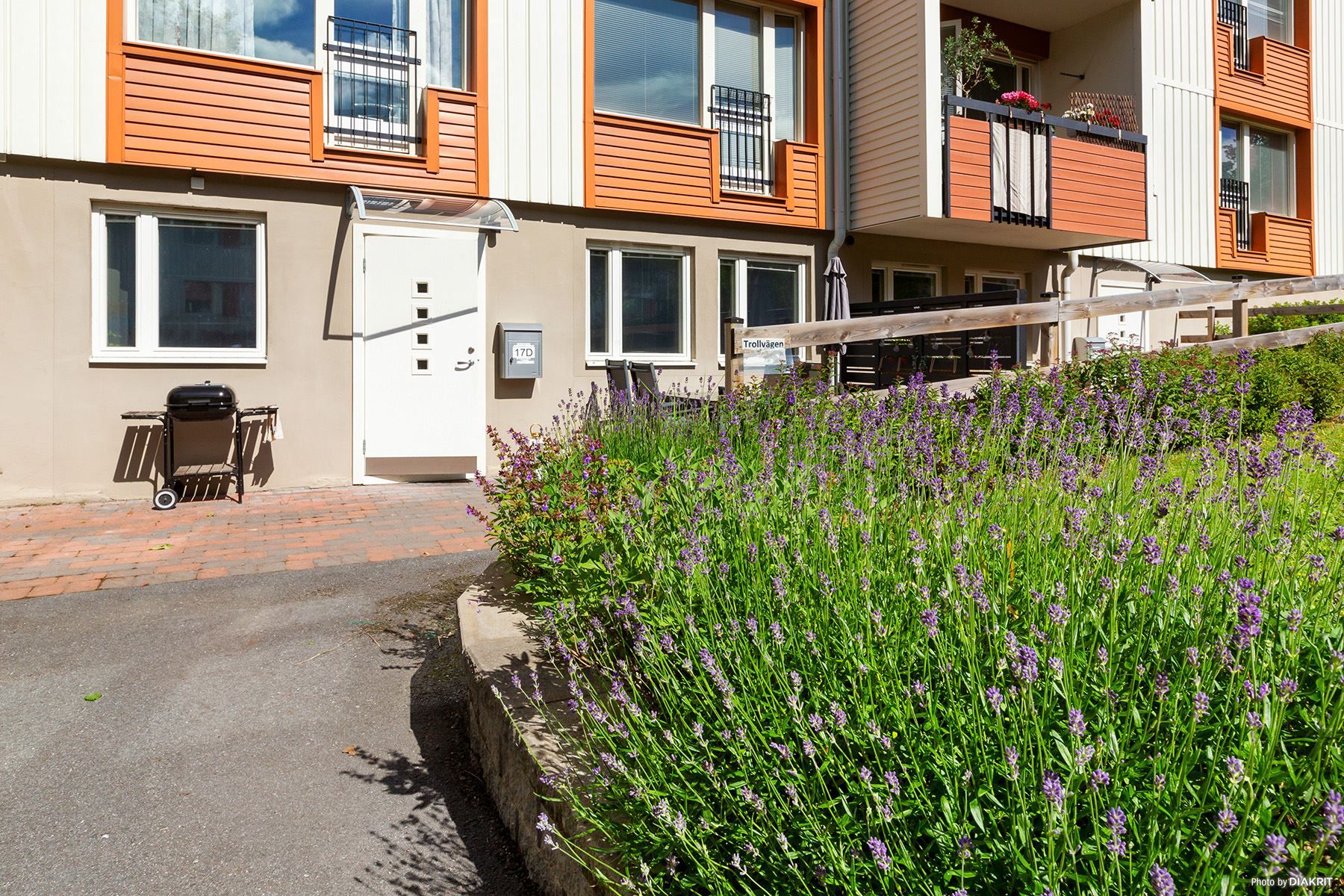 Grönskande rabatter med lavendel i direkt anslutning till uteplatsen