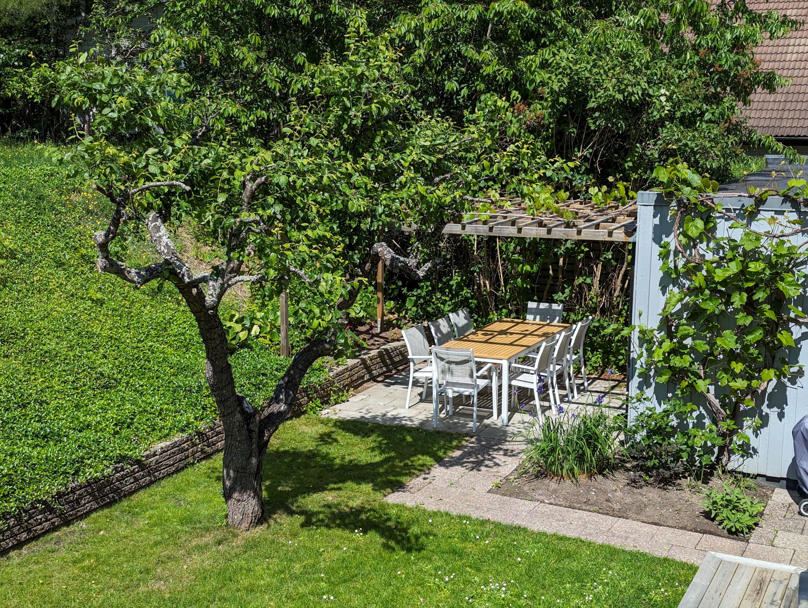 Översikt av trädgården på baksidan