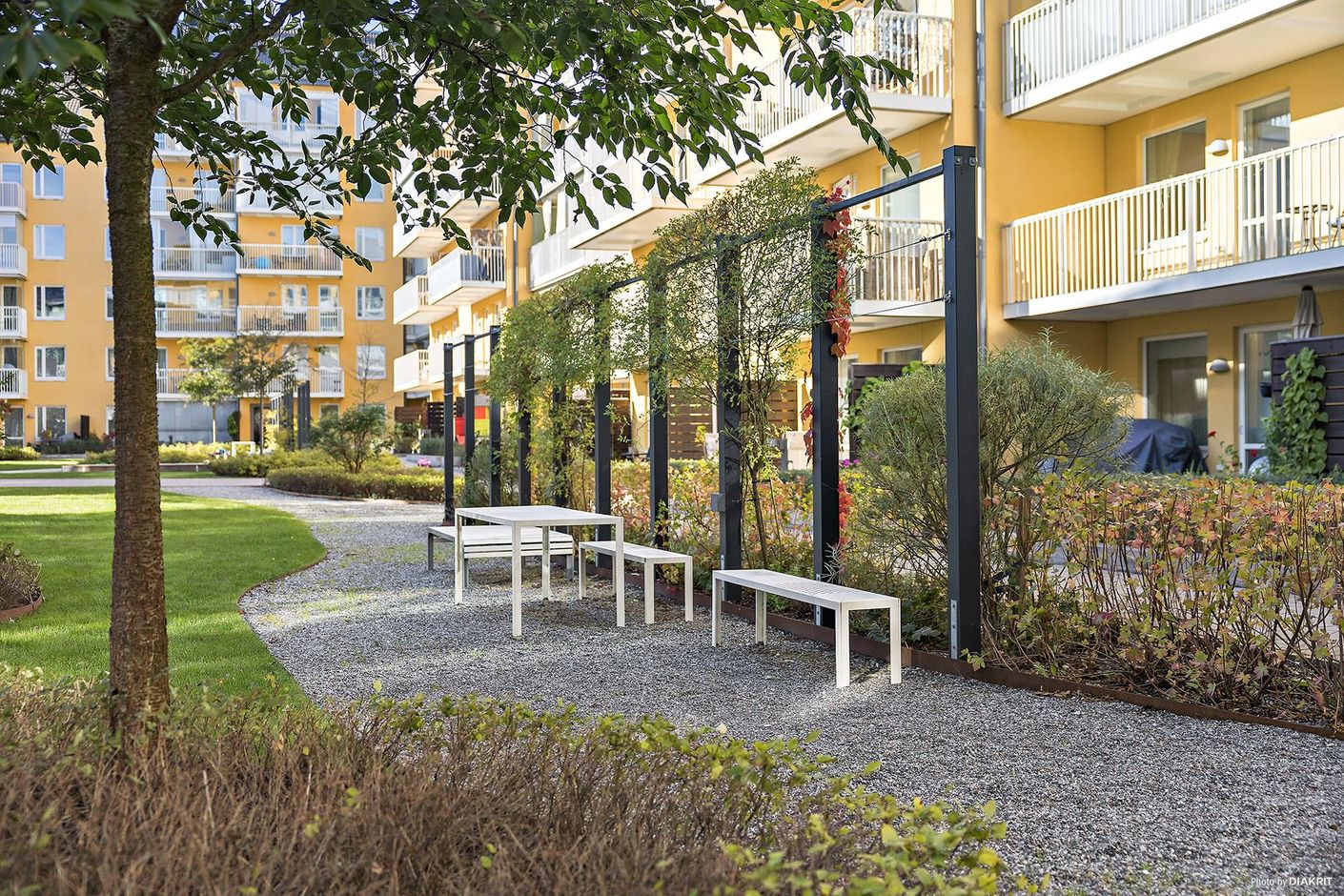 Grönskande innergård