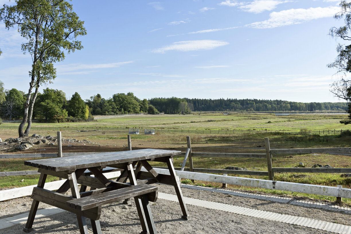 Utsiktsplats i naturreservatet Järvafältet