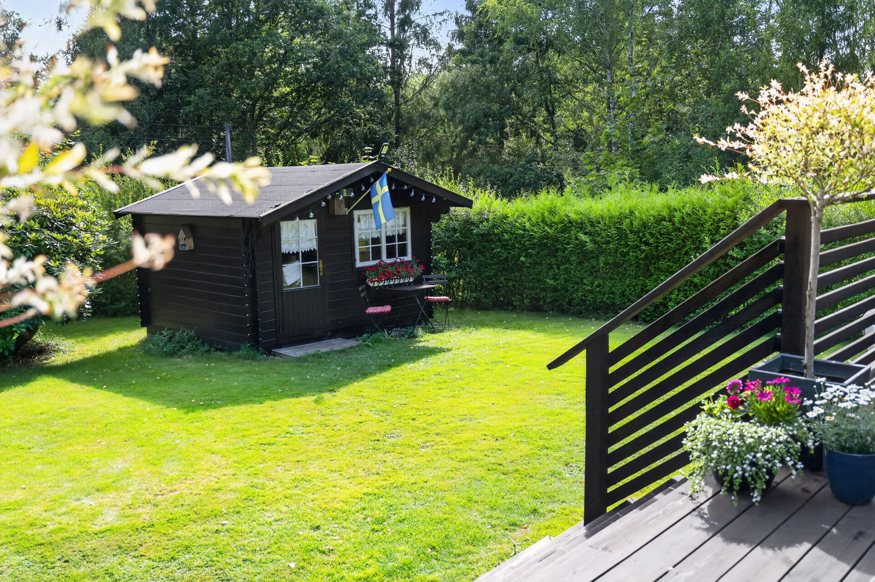 Exteriör