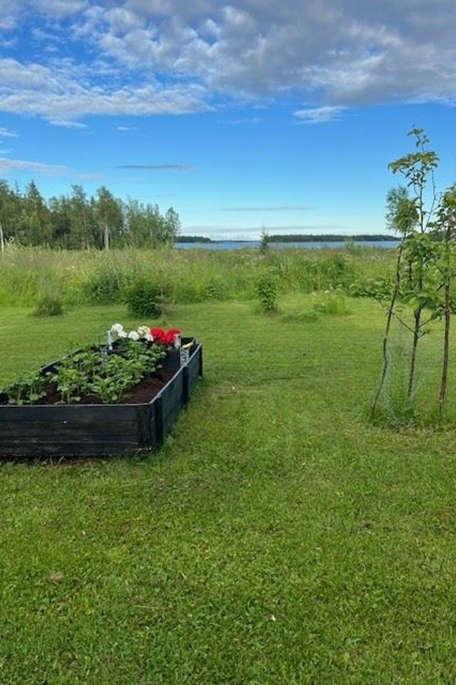 Säljarens privata bild