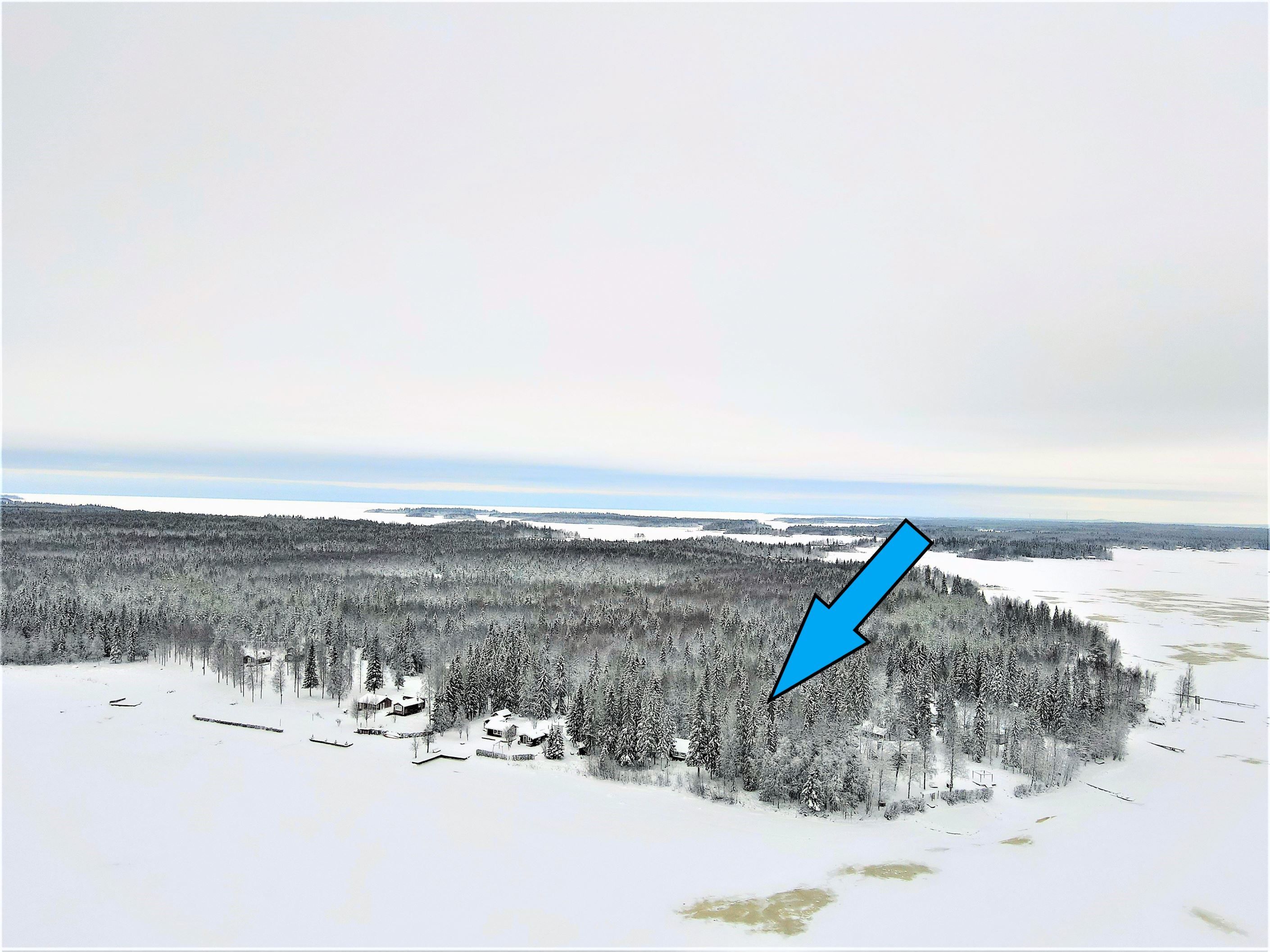 Fälesön