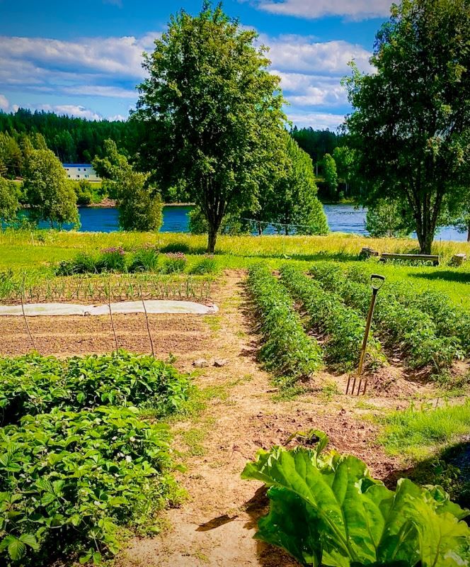 Säljarens egna bild