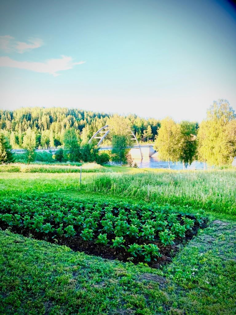 Säljarens egna bild