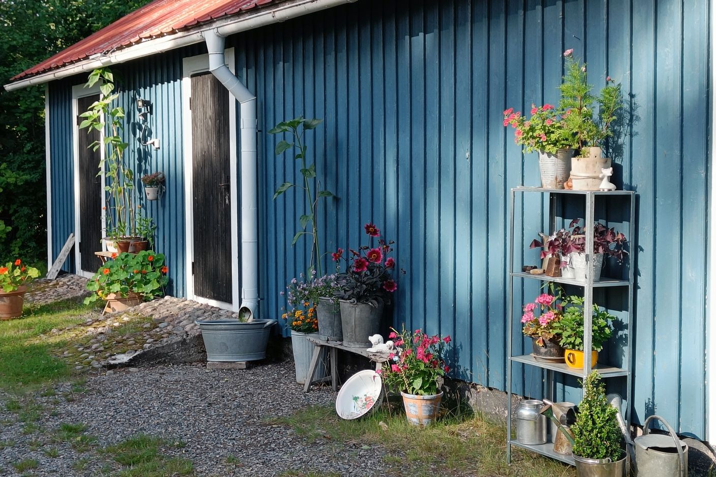 Säljarens bild