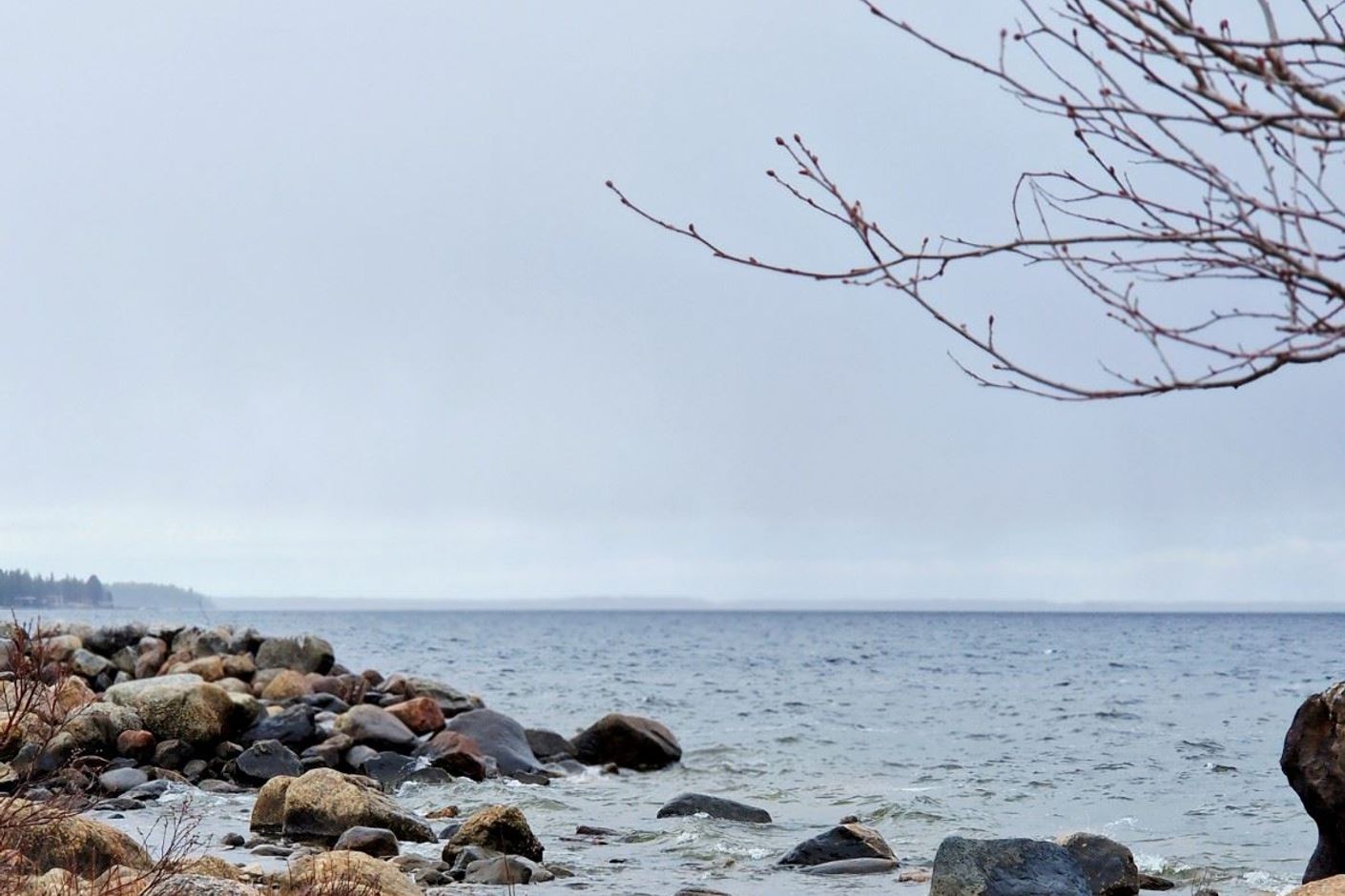 Säljarens bild