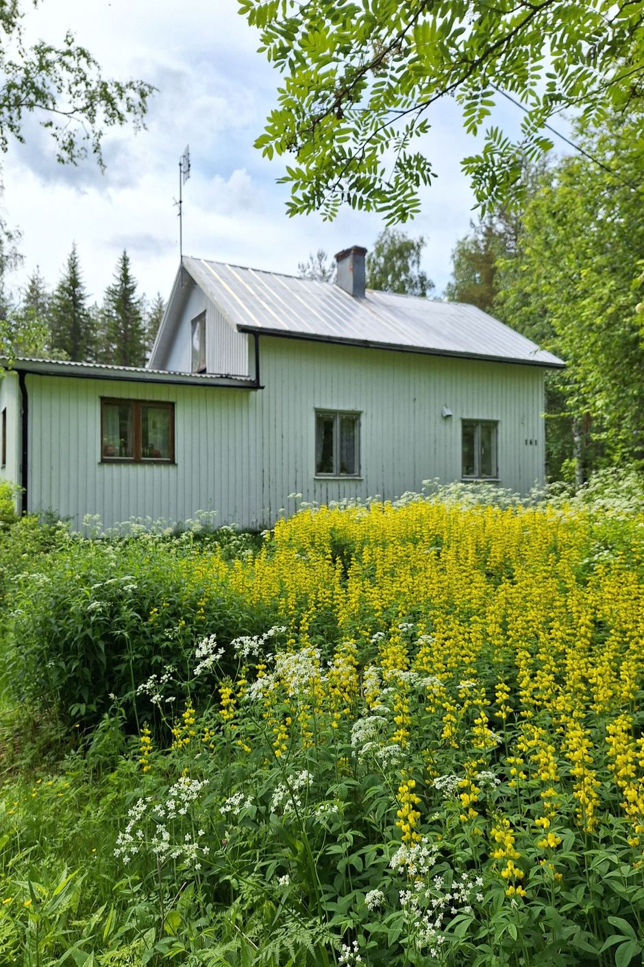 Säljarens bild
