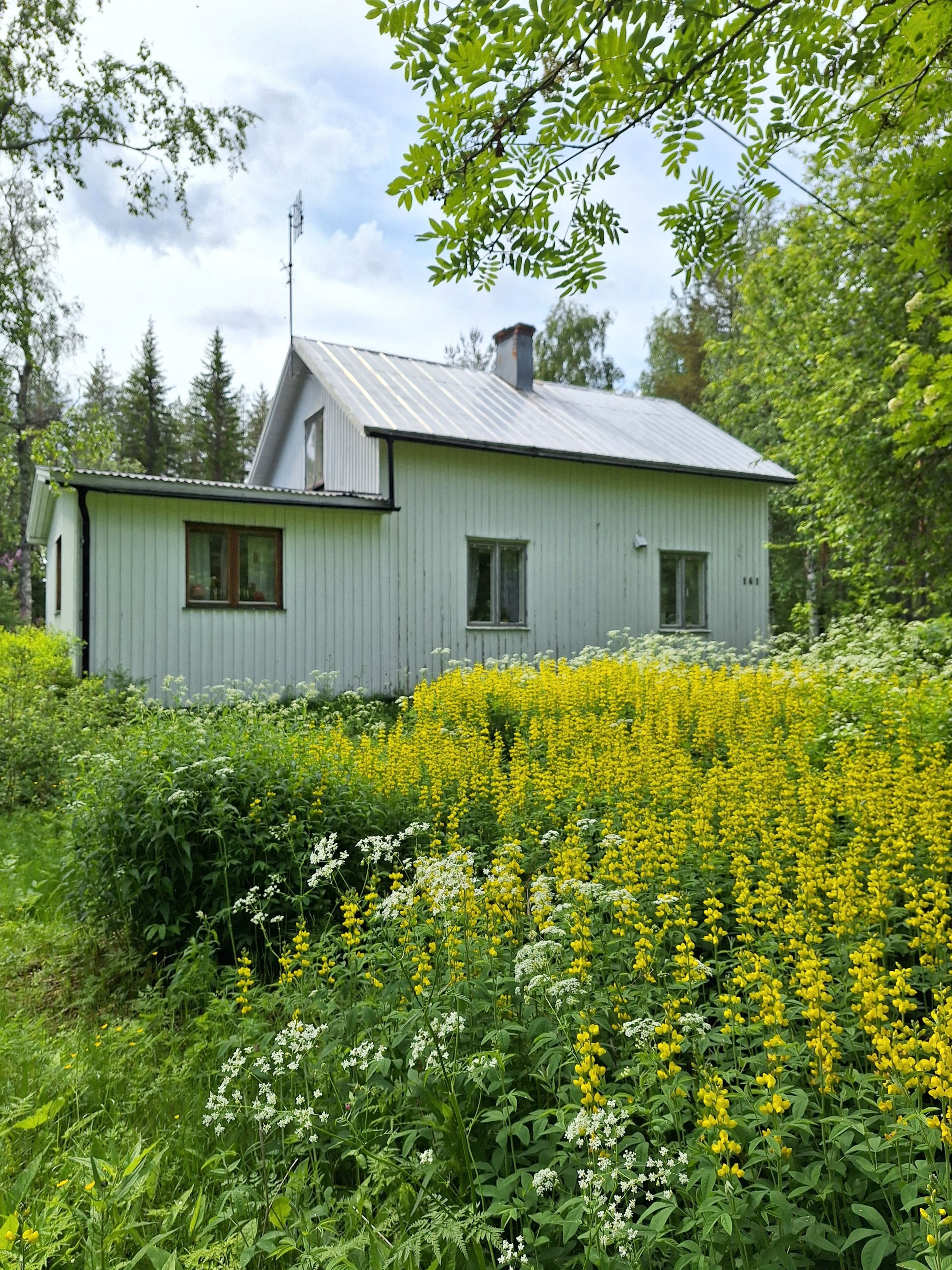 Säljarens bild