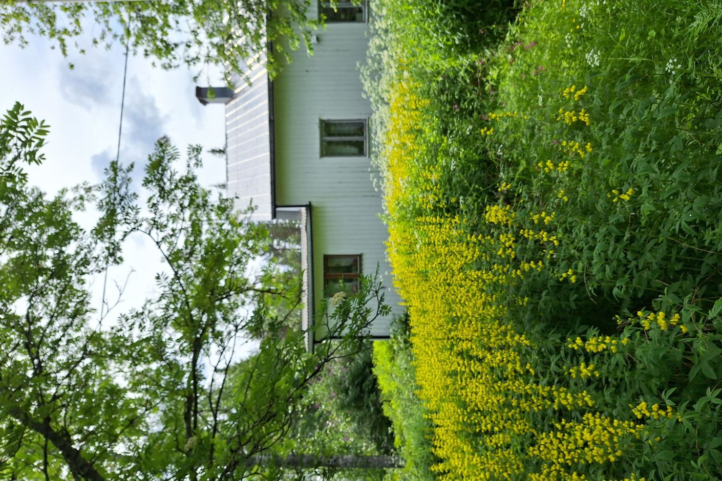 Säljarens bild