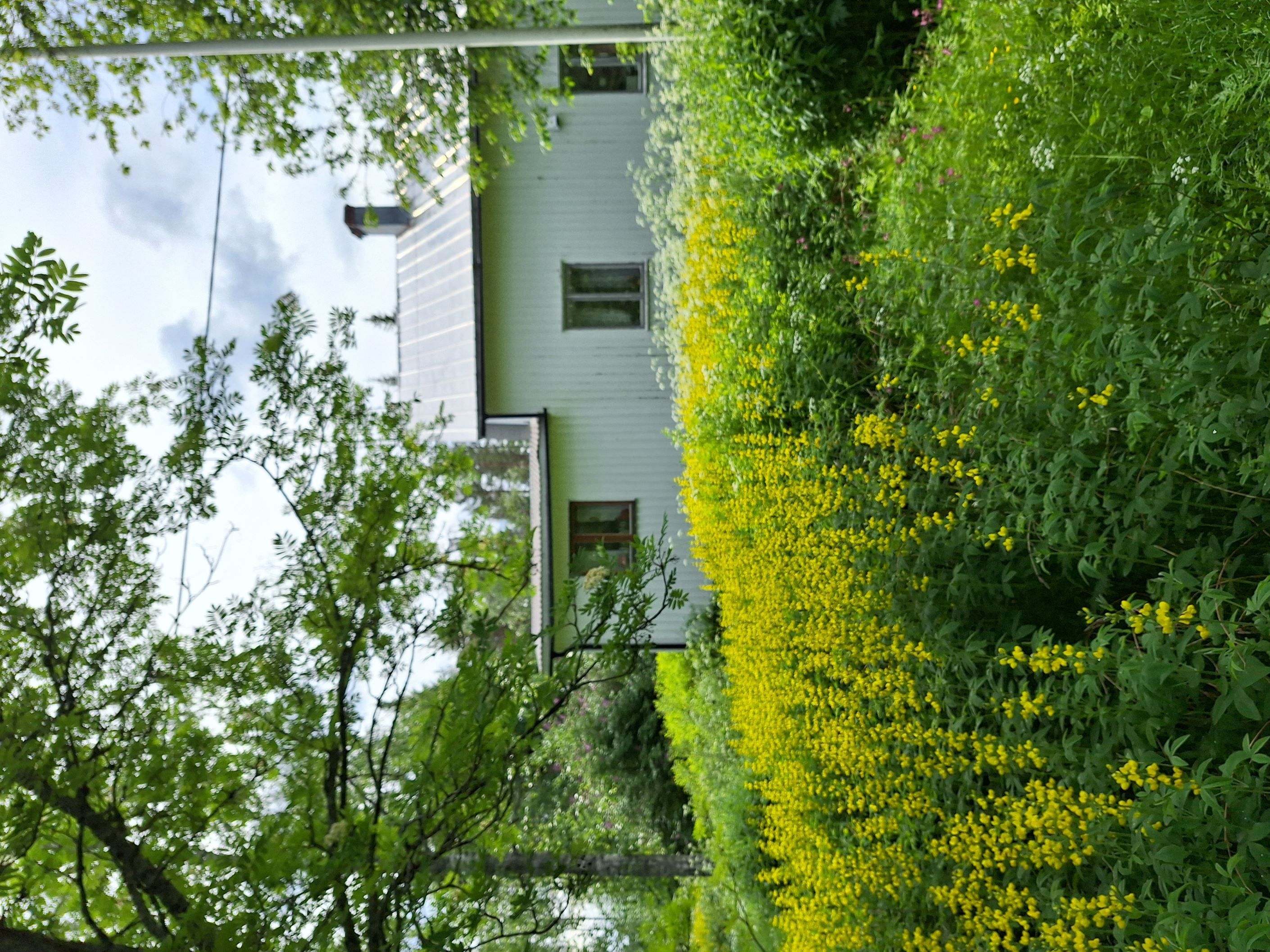 Säljarens bild