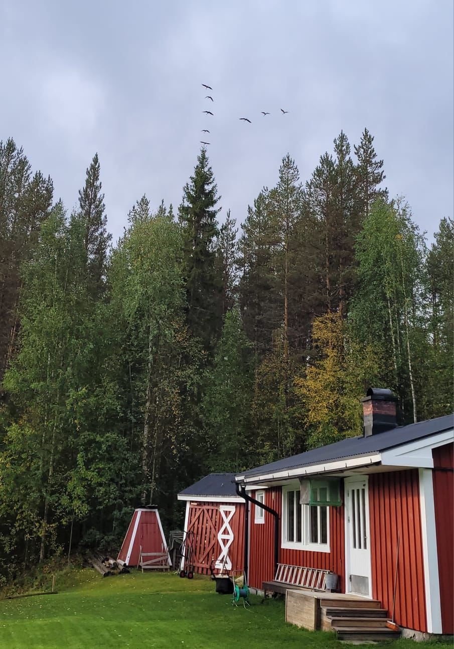 Säljarens privata bild