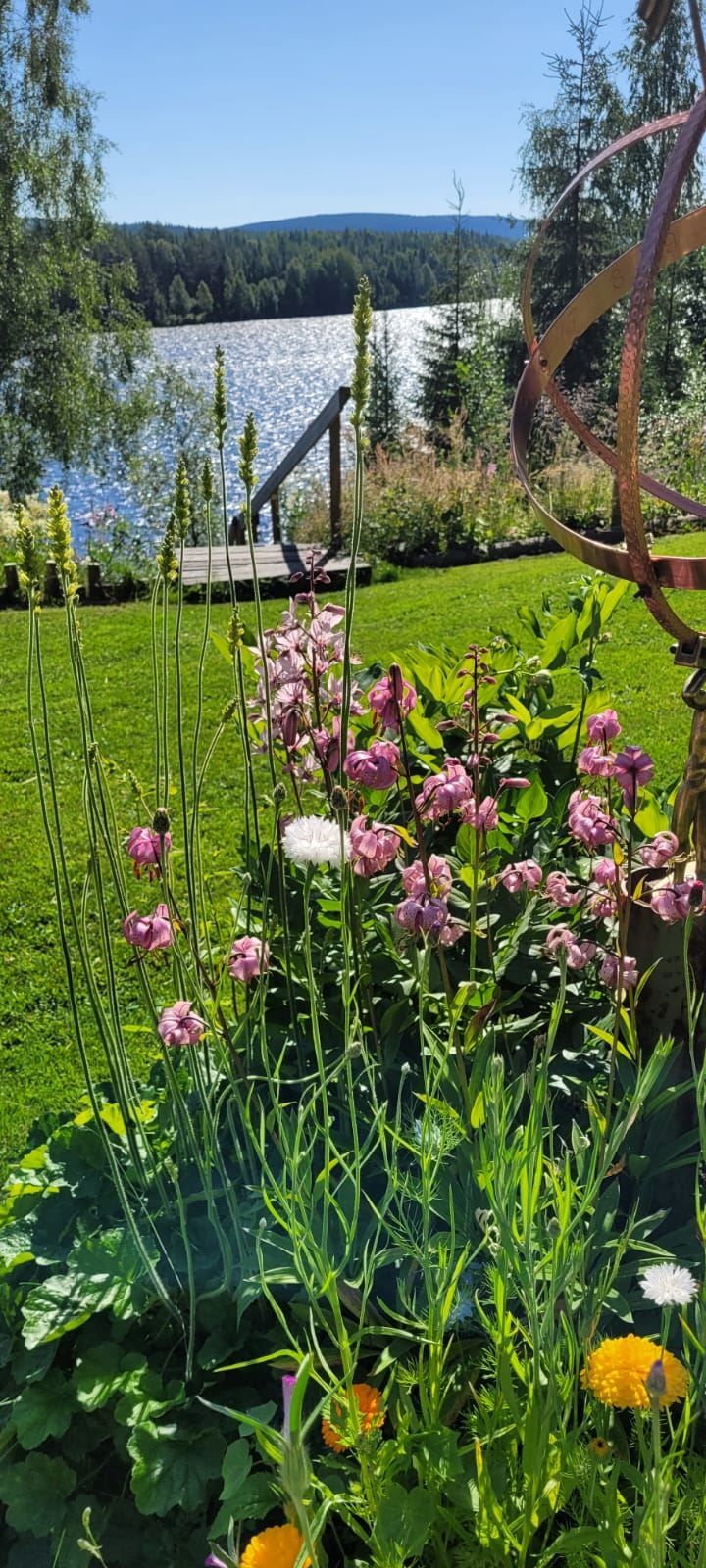 Säljarens privata bild