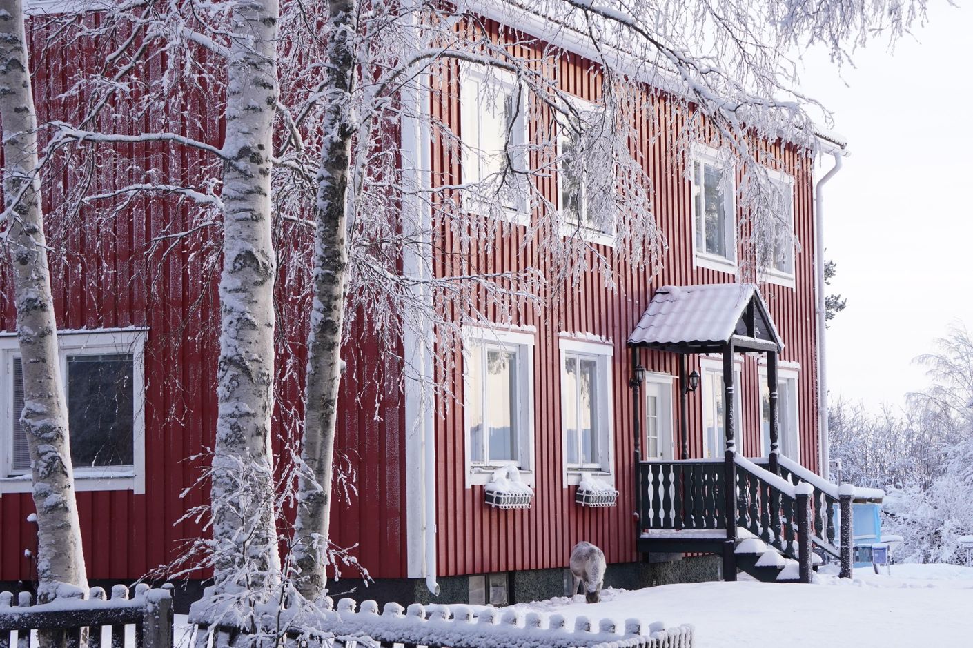 Vinterbild (säljarens privata bild)