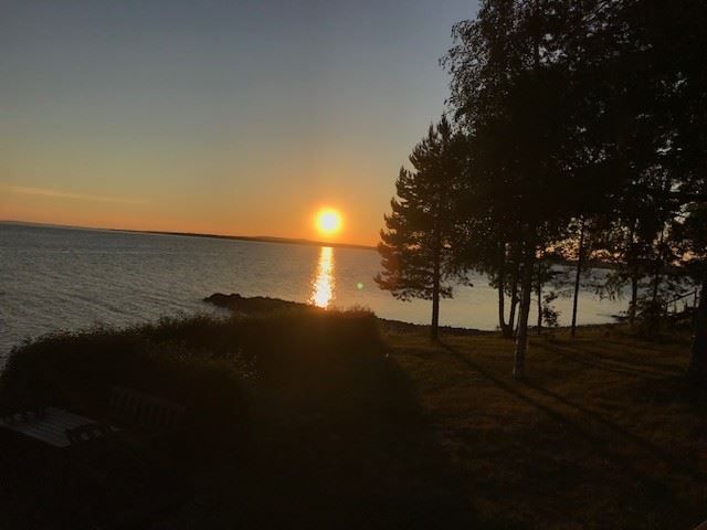 Säljarens egna bild