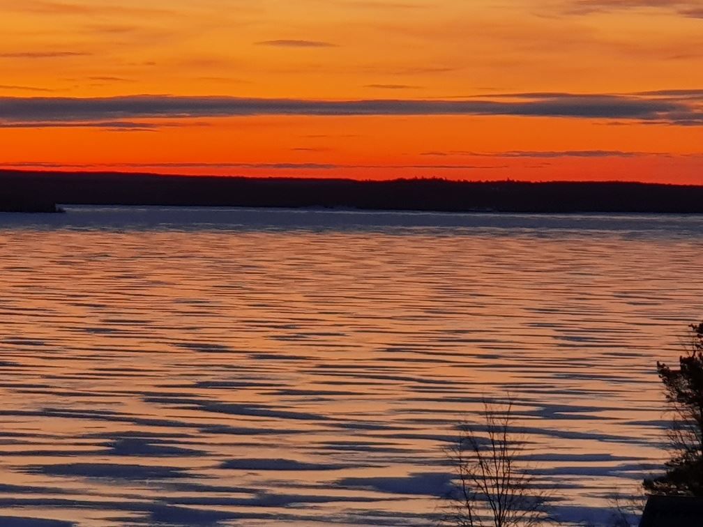 Säljarens egna bild