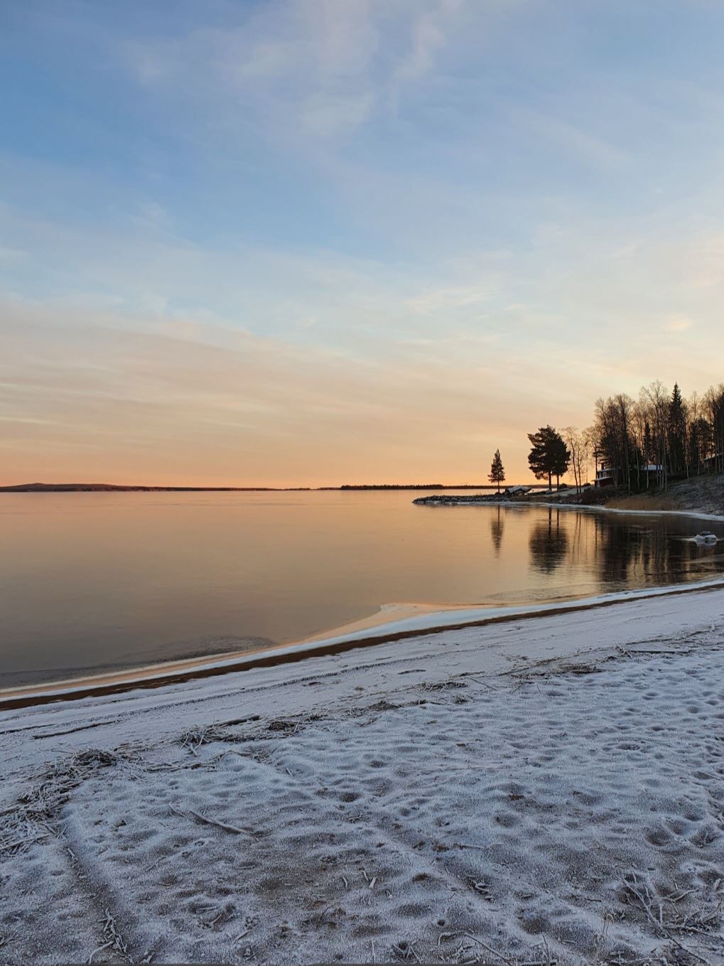 Säljarens egna bild