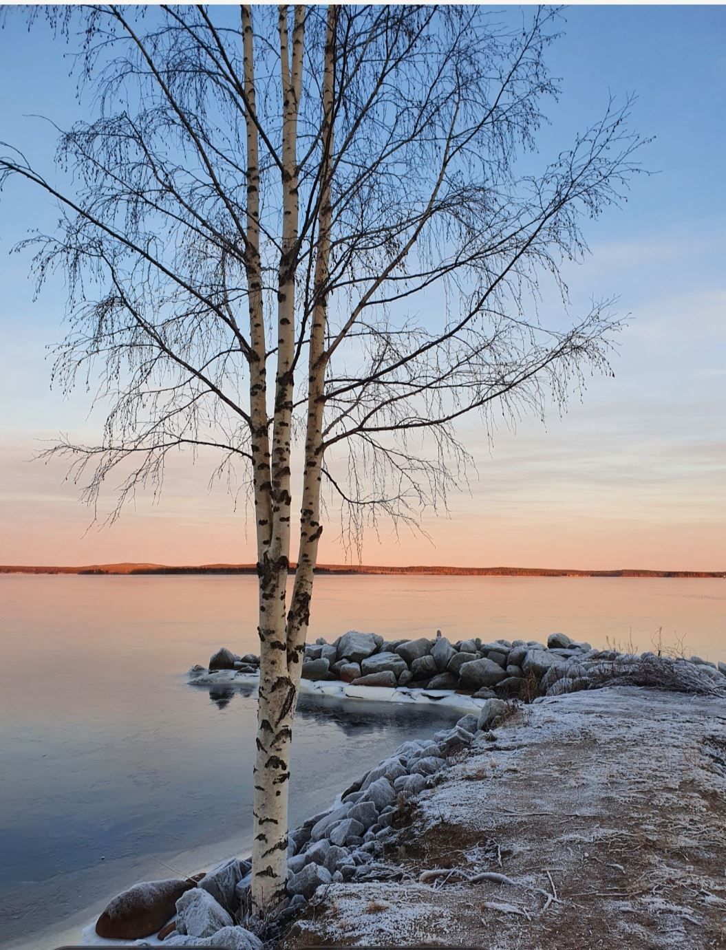 Säljarens egna bild