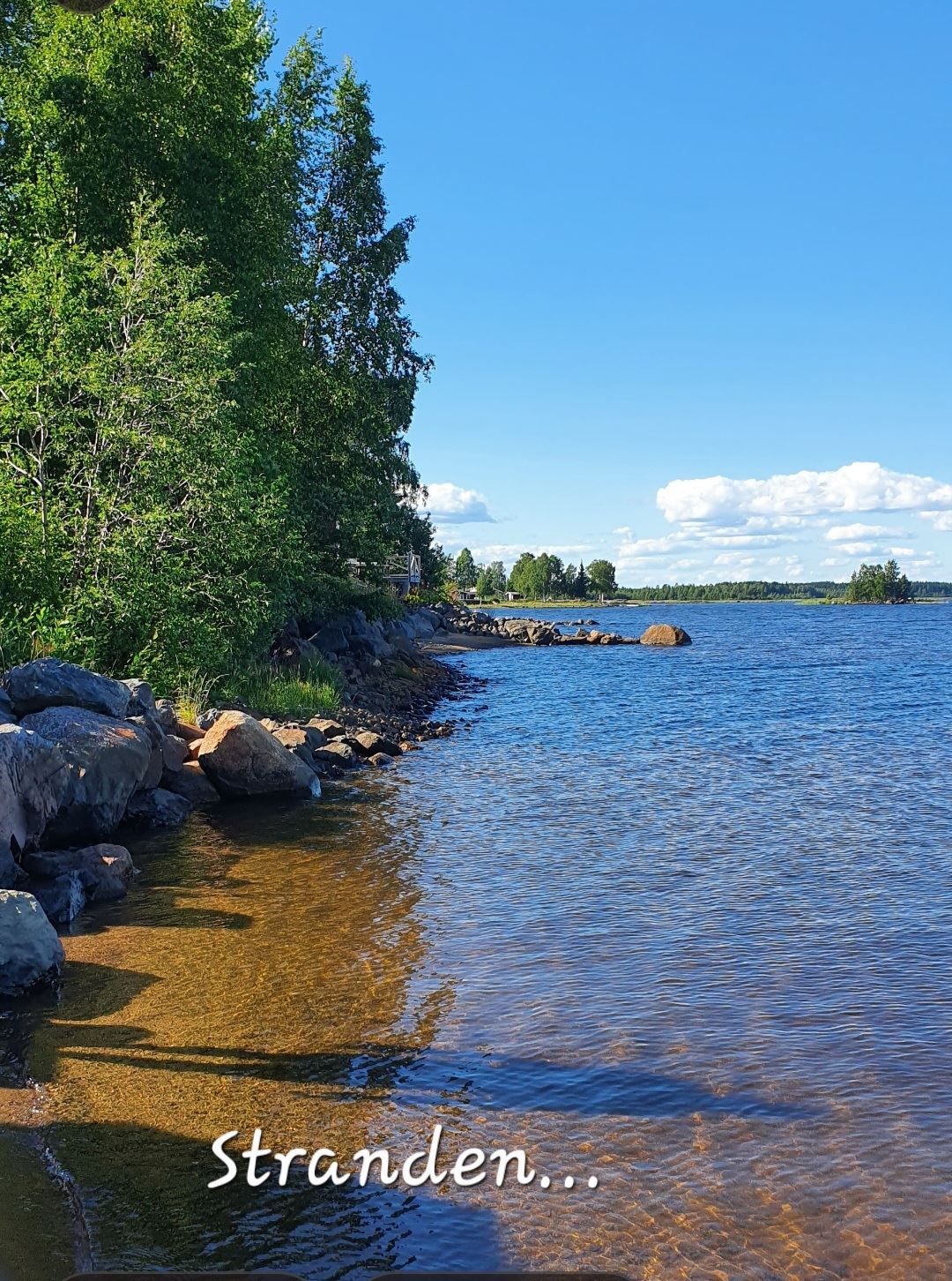 Säljarens egna bild