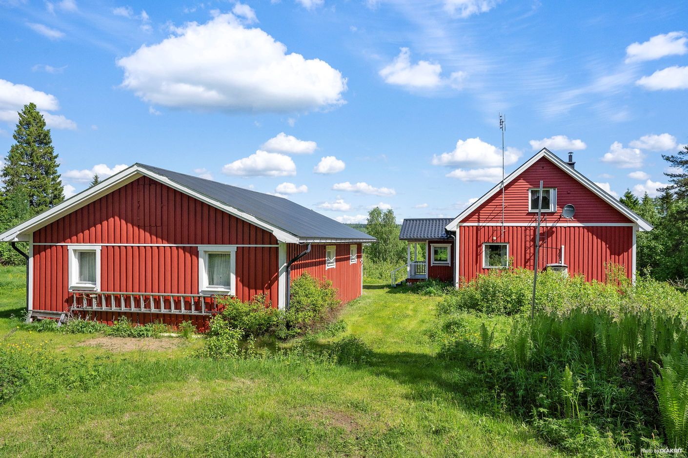 Exteriör