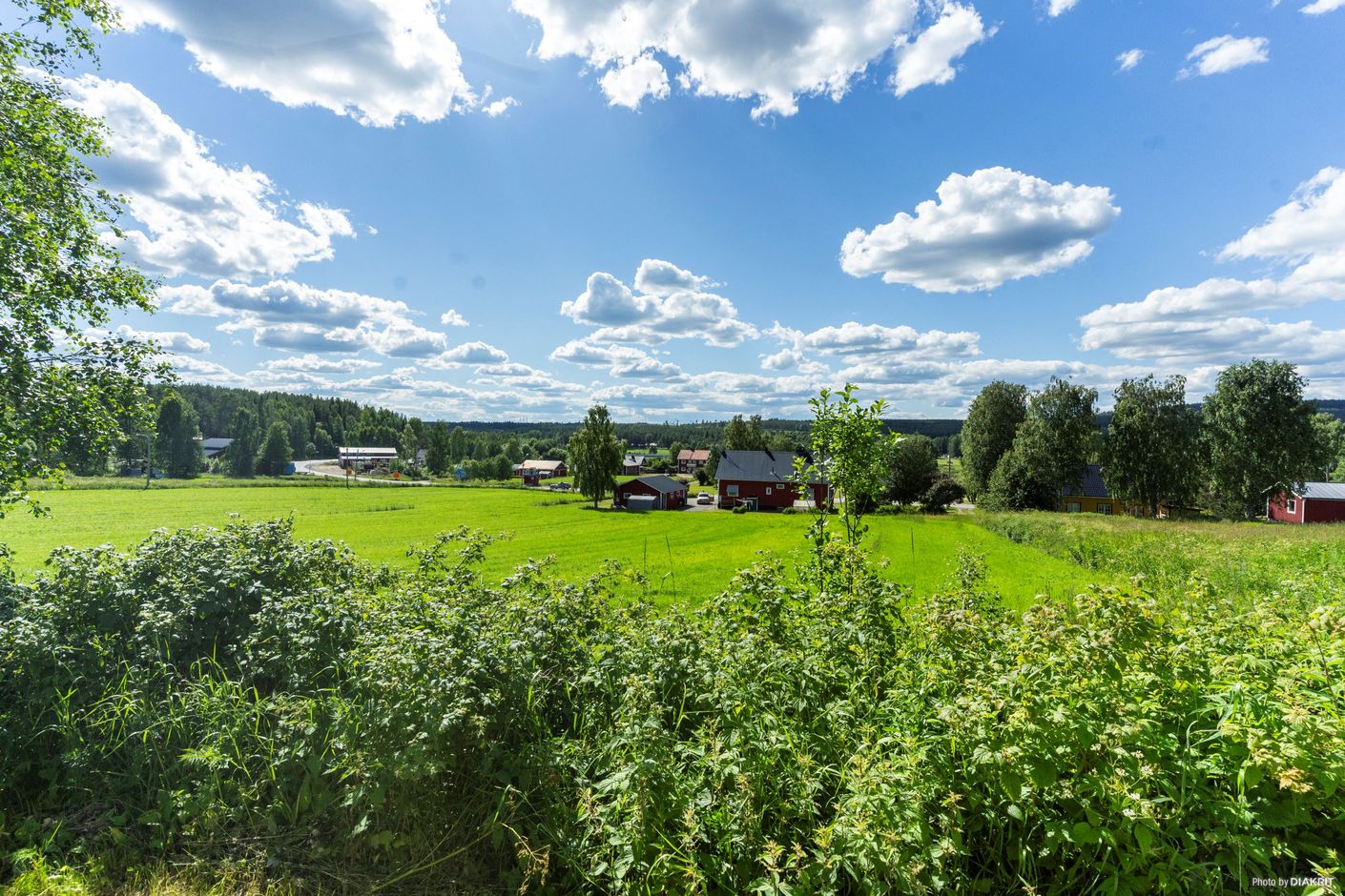Utsikt från vardagsrum