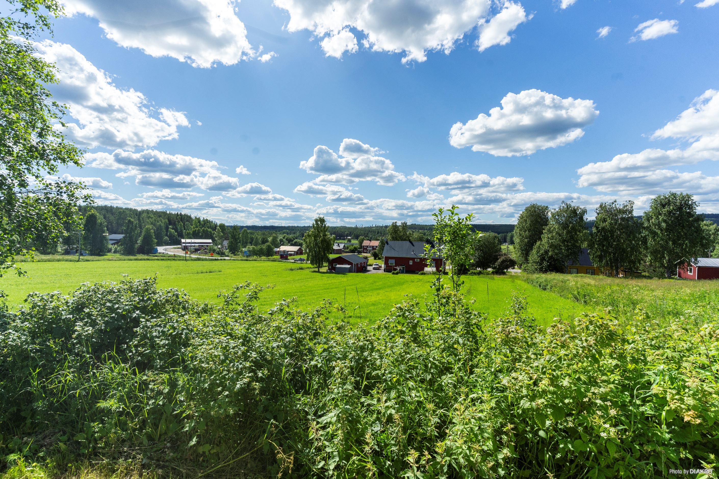 Utsikt från vardagsrum