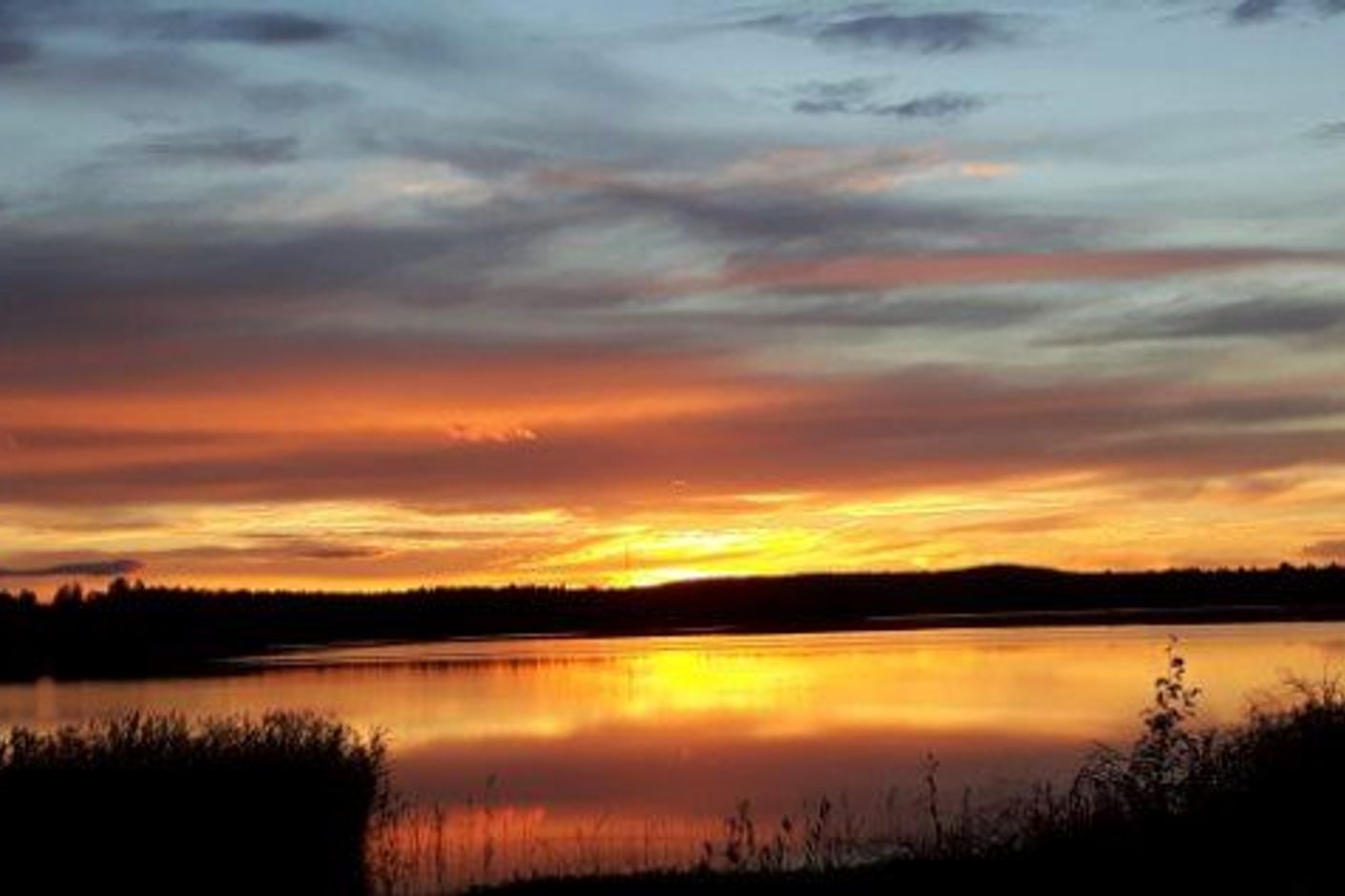 Säljarens egna bild