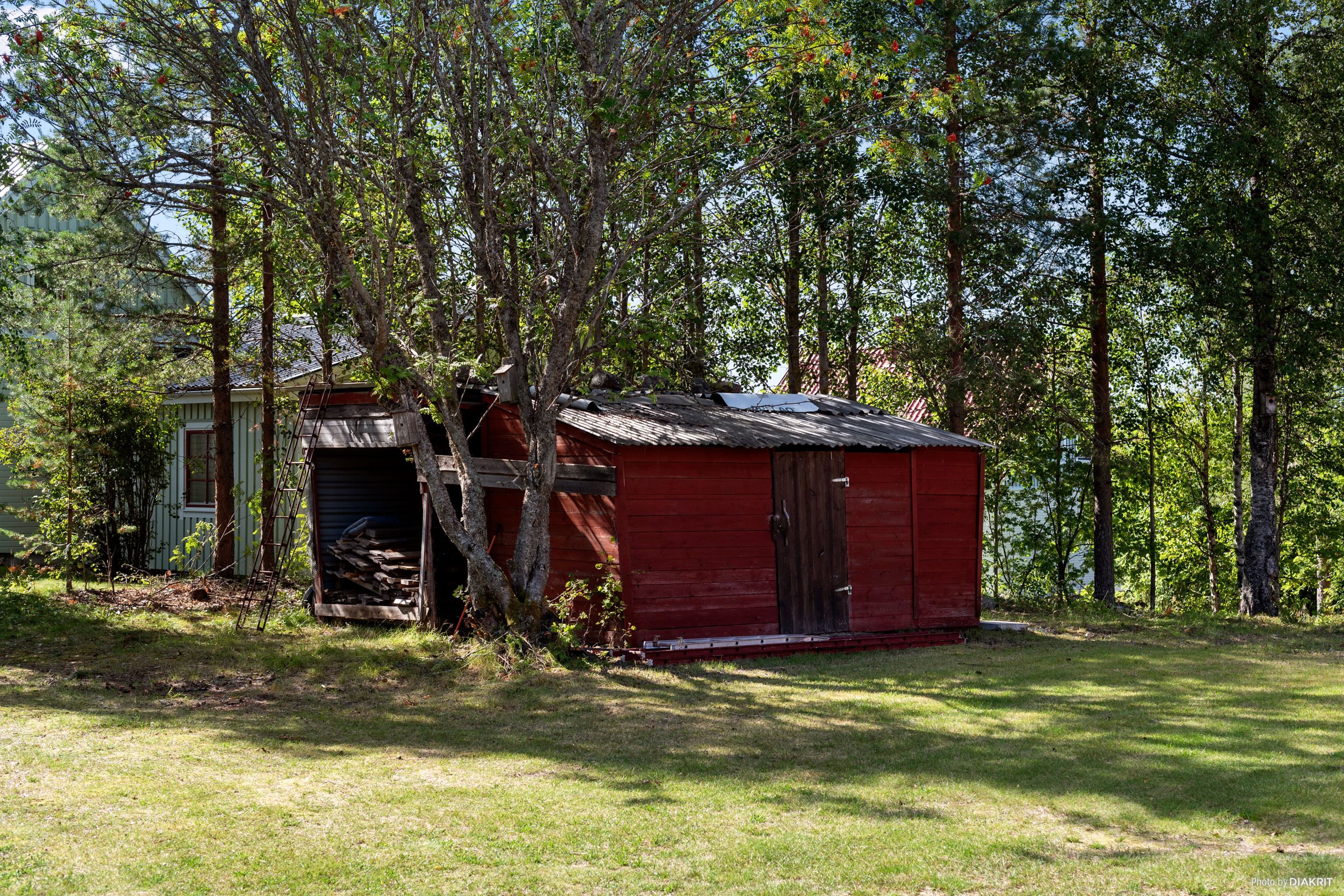 Exteriör