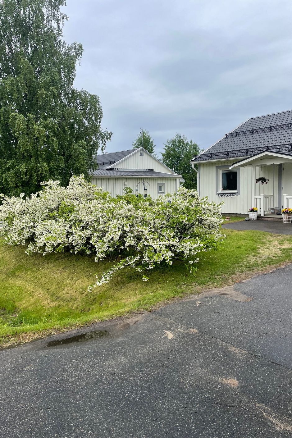 Säljarens bild