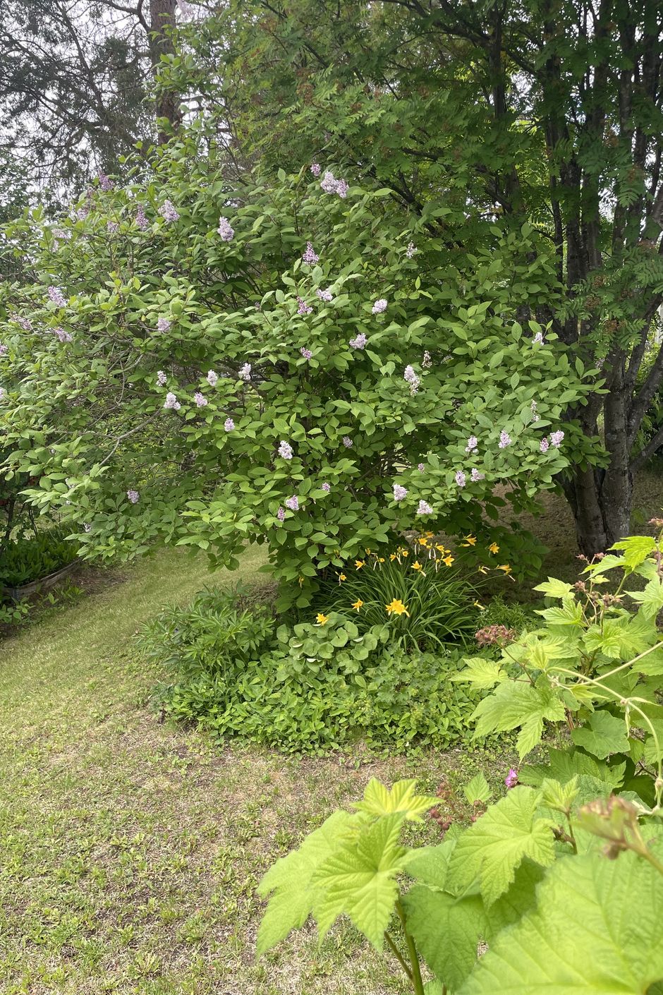 Säljarens bild