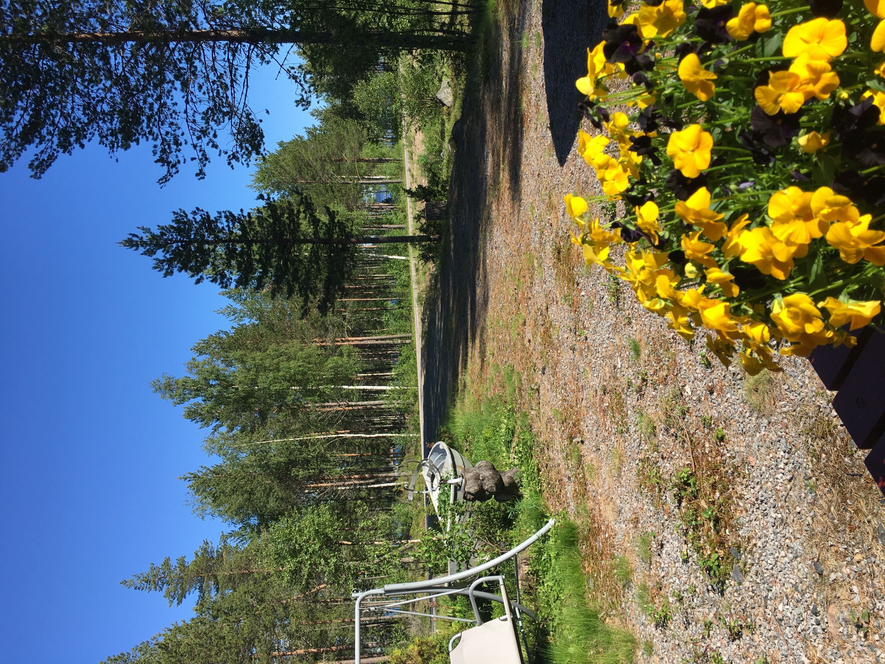 Säljarens privata bild