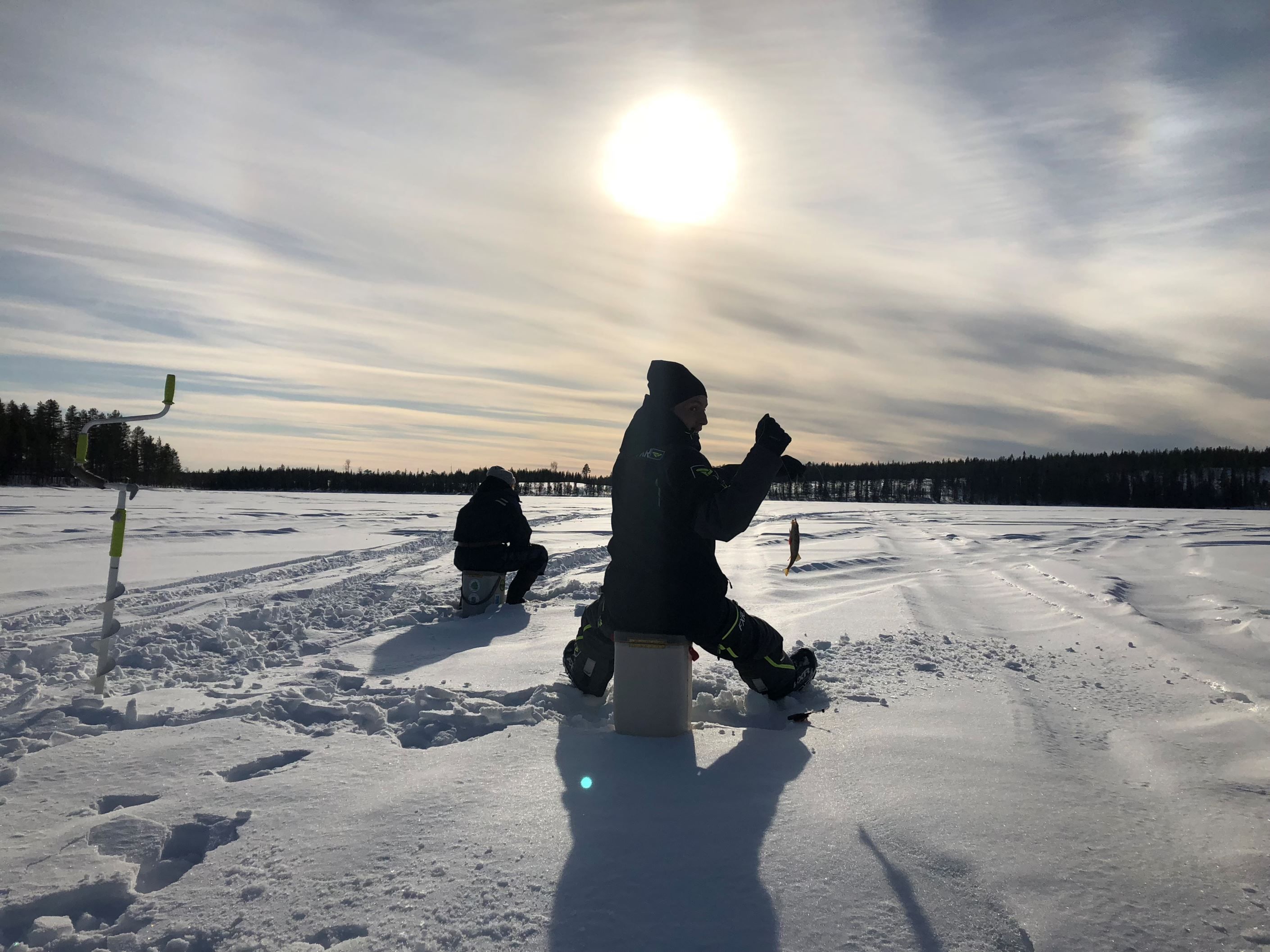Säljarens egna bild