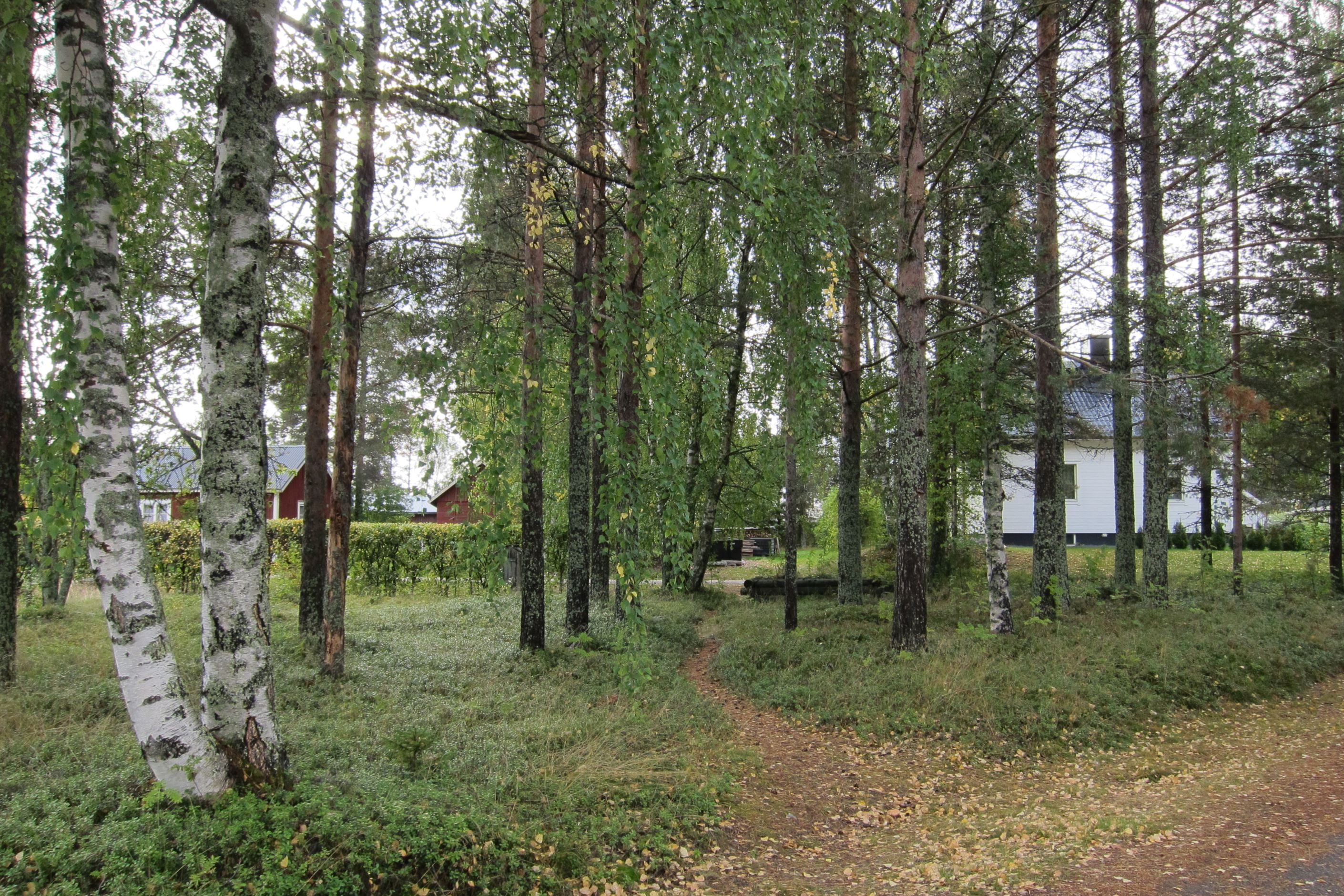 Säljarens bild