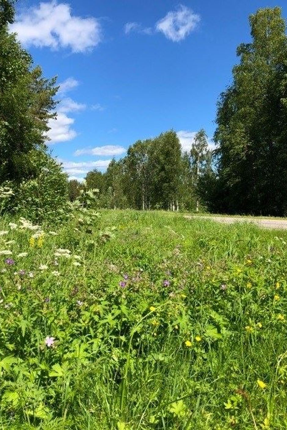Bra vägförbindelse till fritidshusområdet - säljarens privata bild.