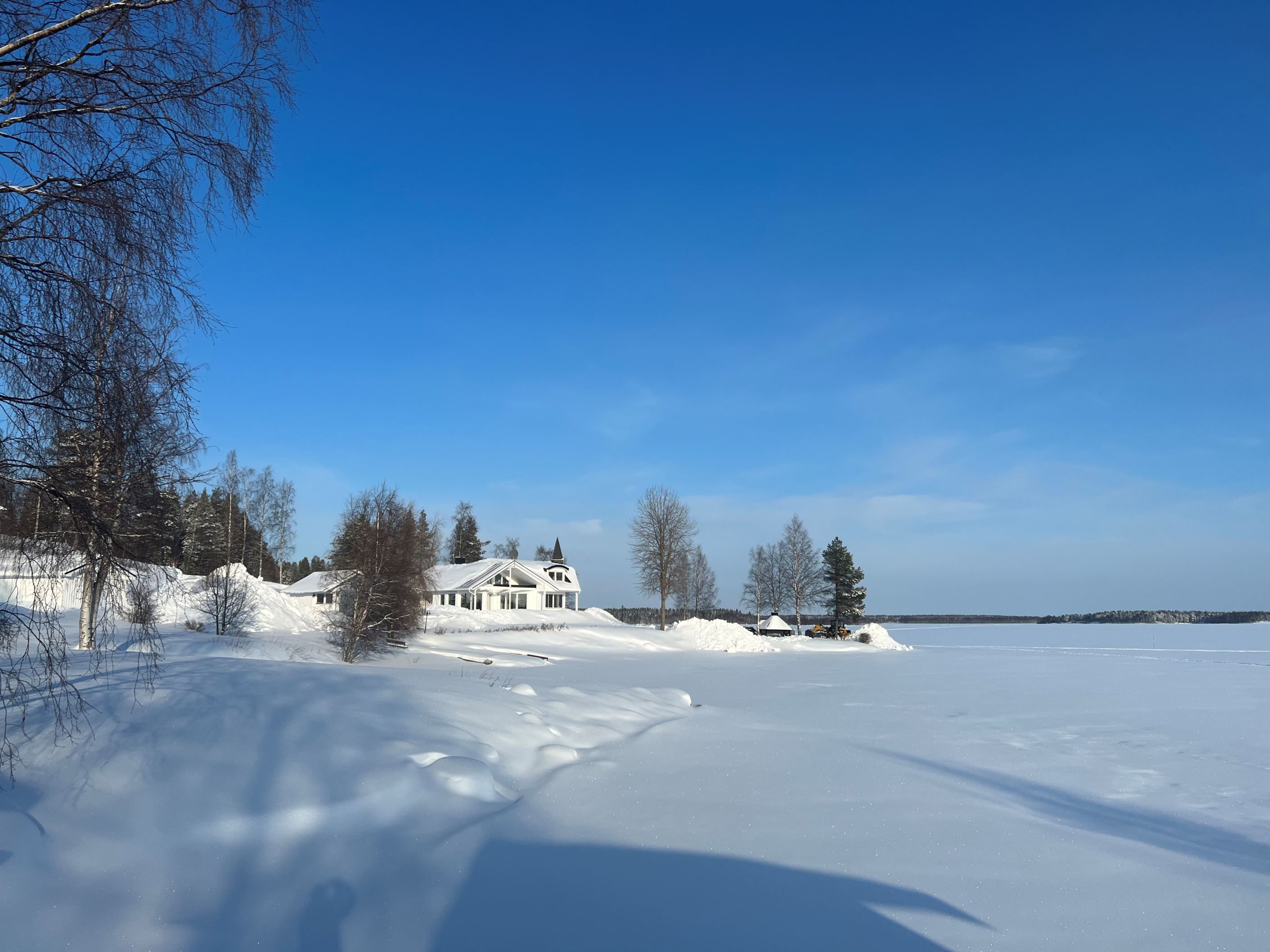 Säljarens egna bild