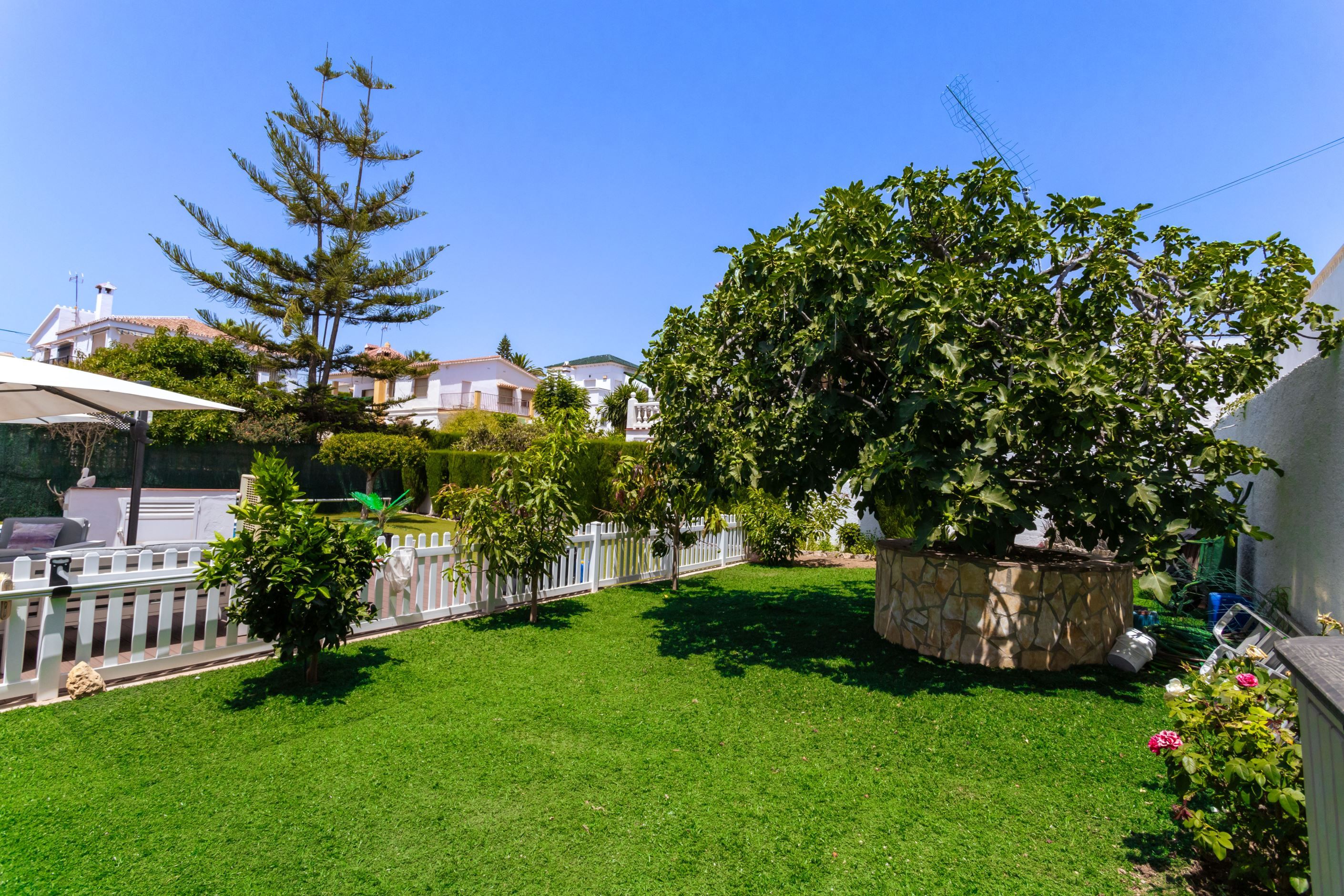 fruit garden