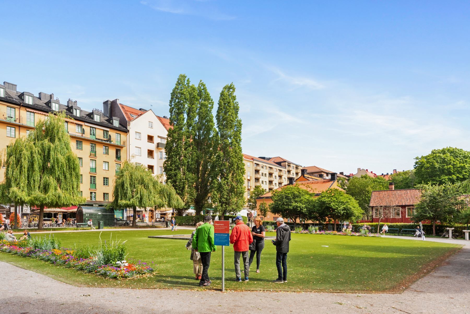 Nytorget