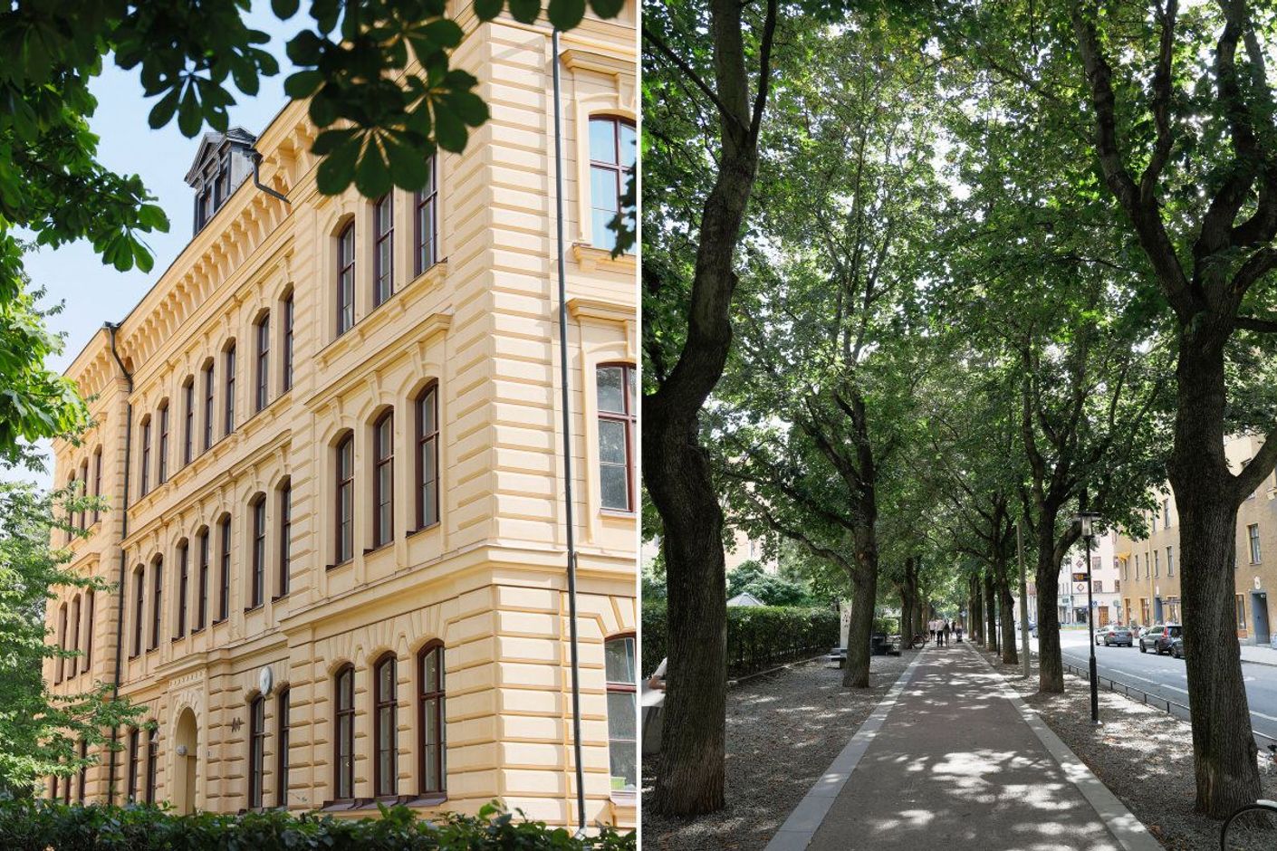 Katarina skola & allén längs Katarina Bangata