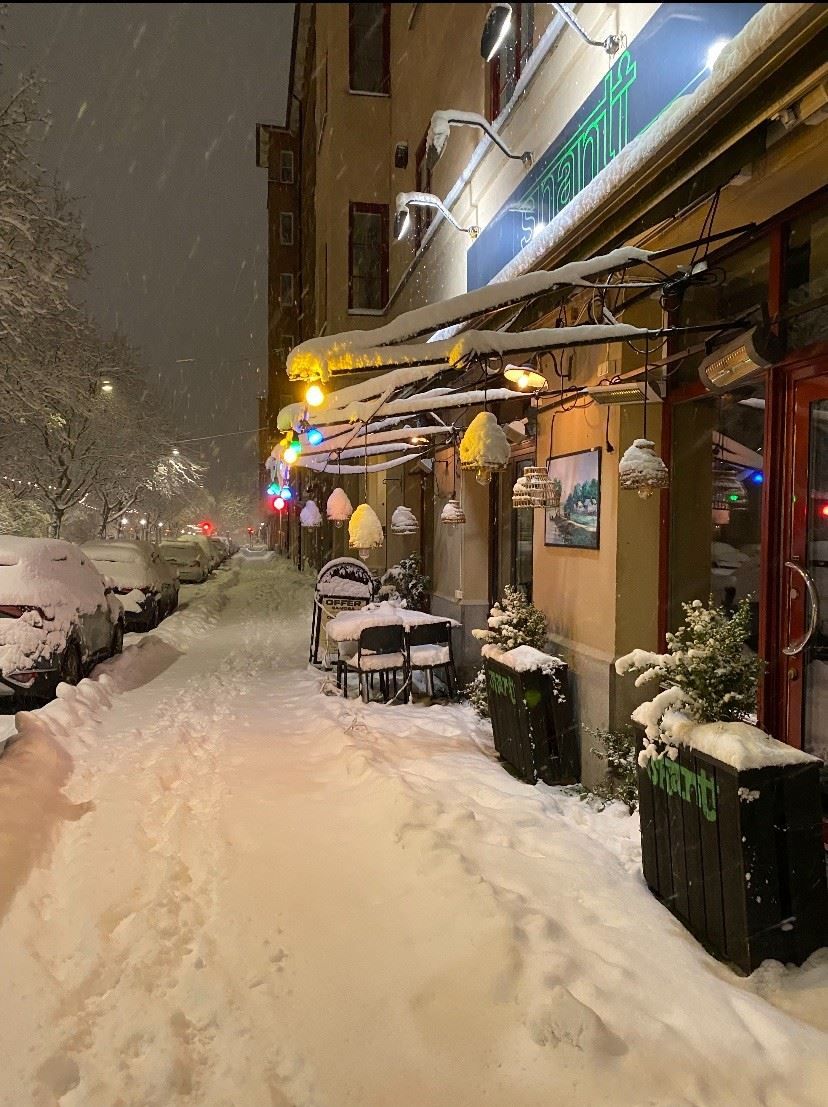 Shanti, säljarens egen bild