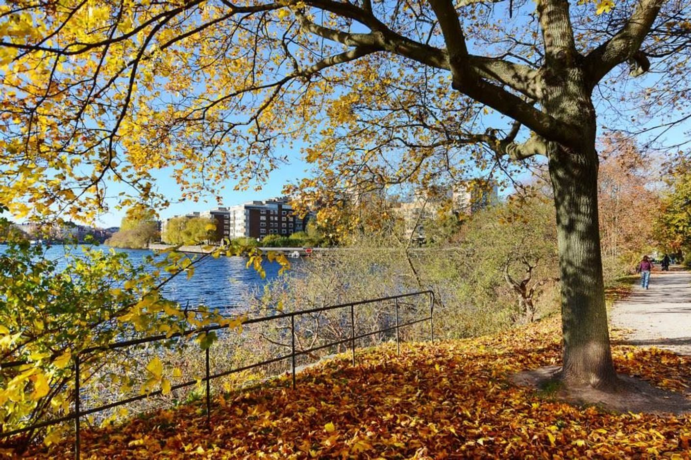Lågupplöst Sköna strandpromenader