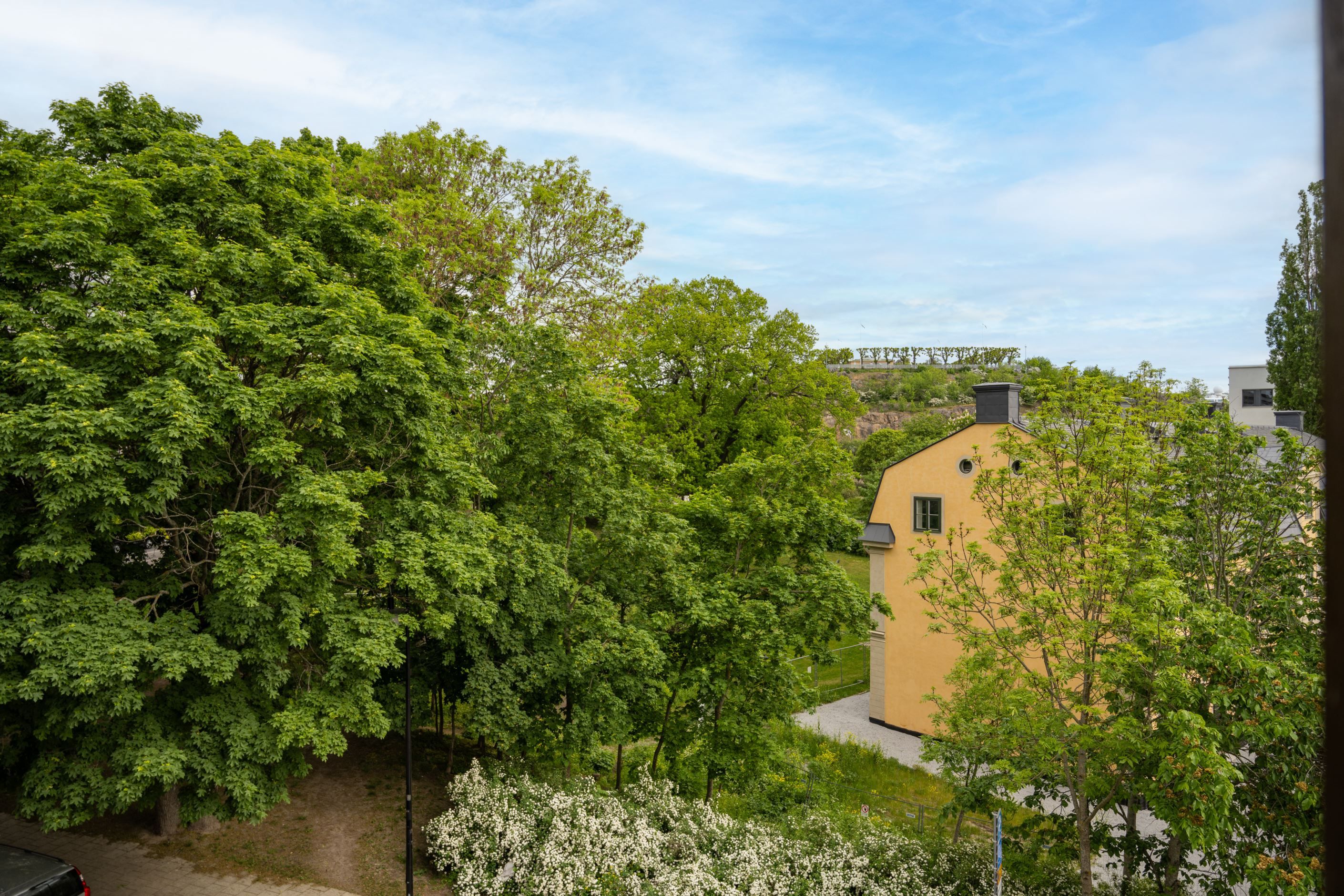 Utsikt från köket