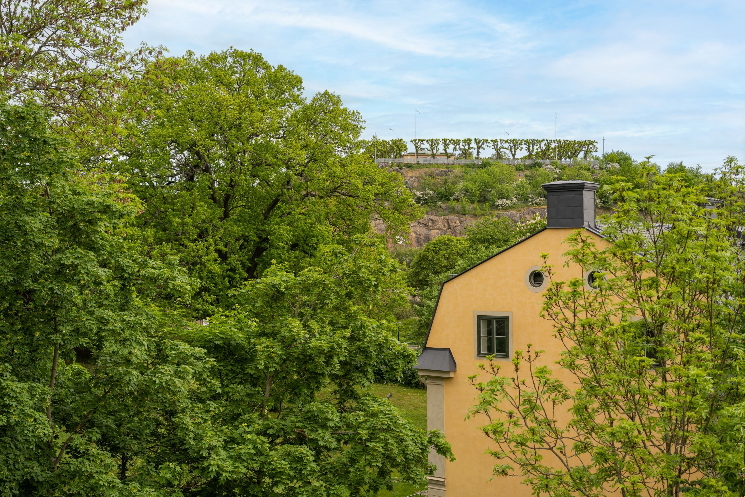Utsikt från köket