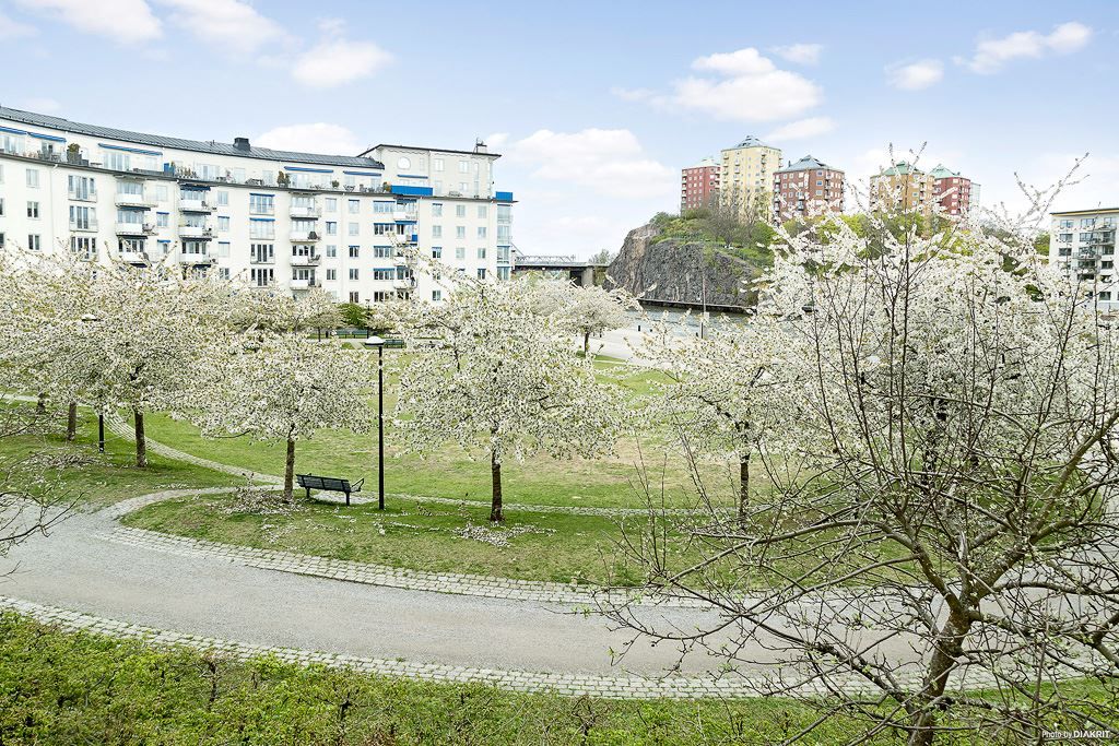 Grönskande Mandelparken strax intill