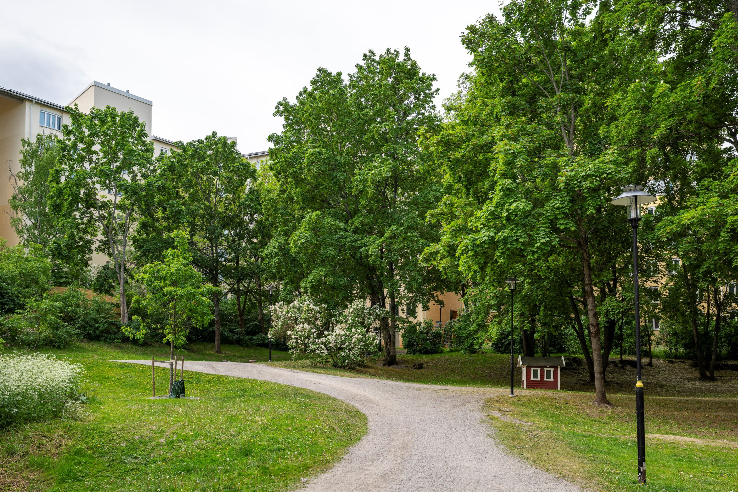 Ånghästparken