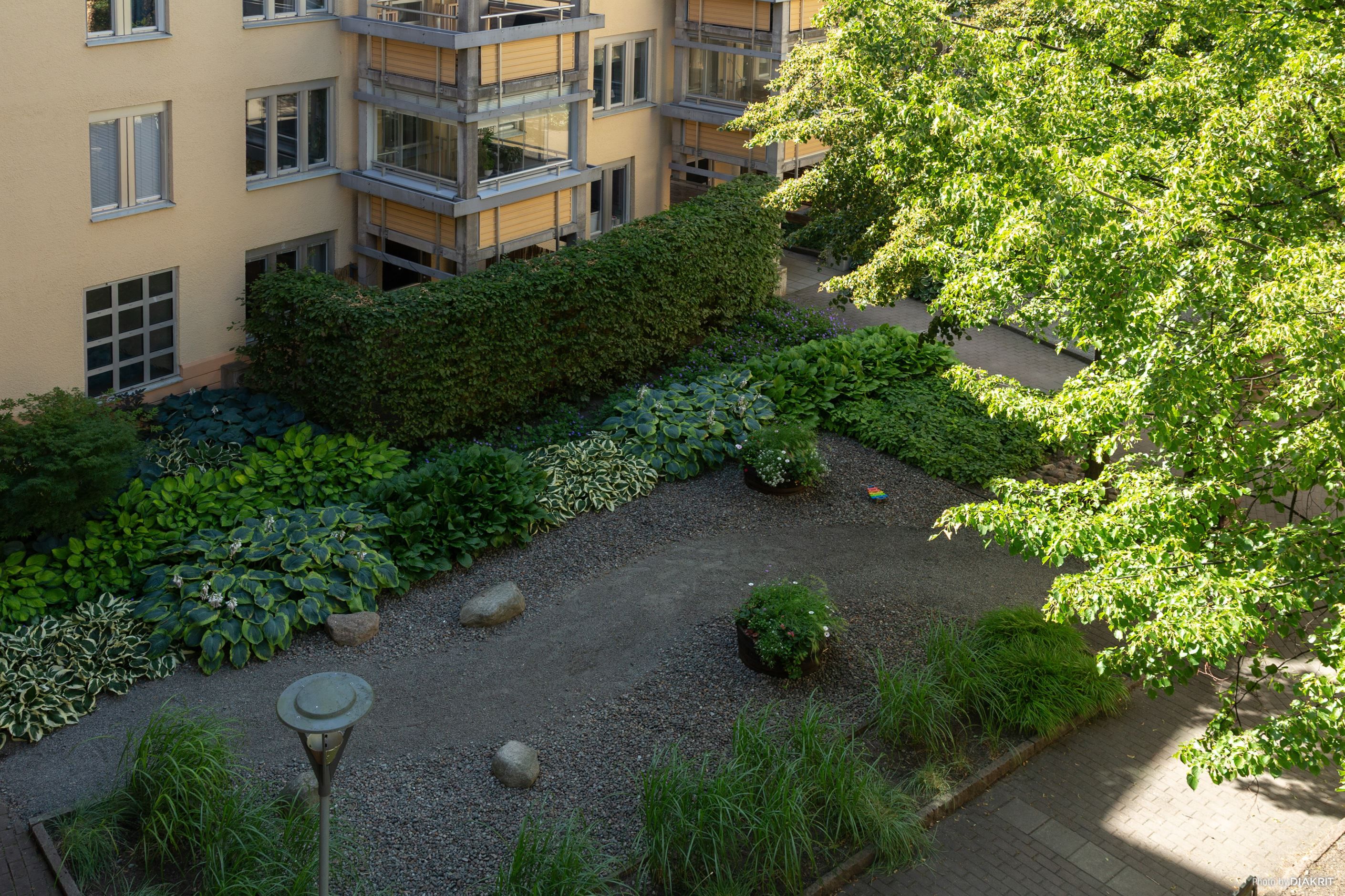 Utsikt över grönskande gård