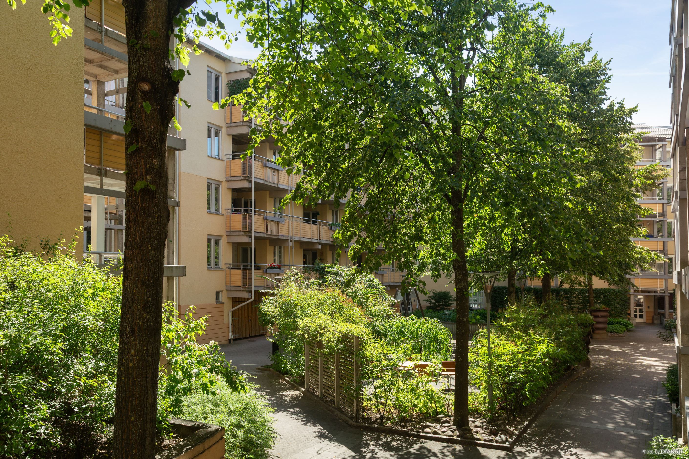 Lummig grönska på gården